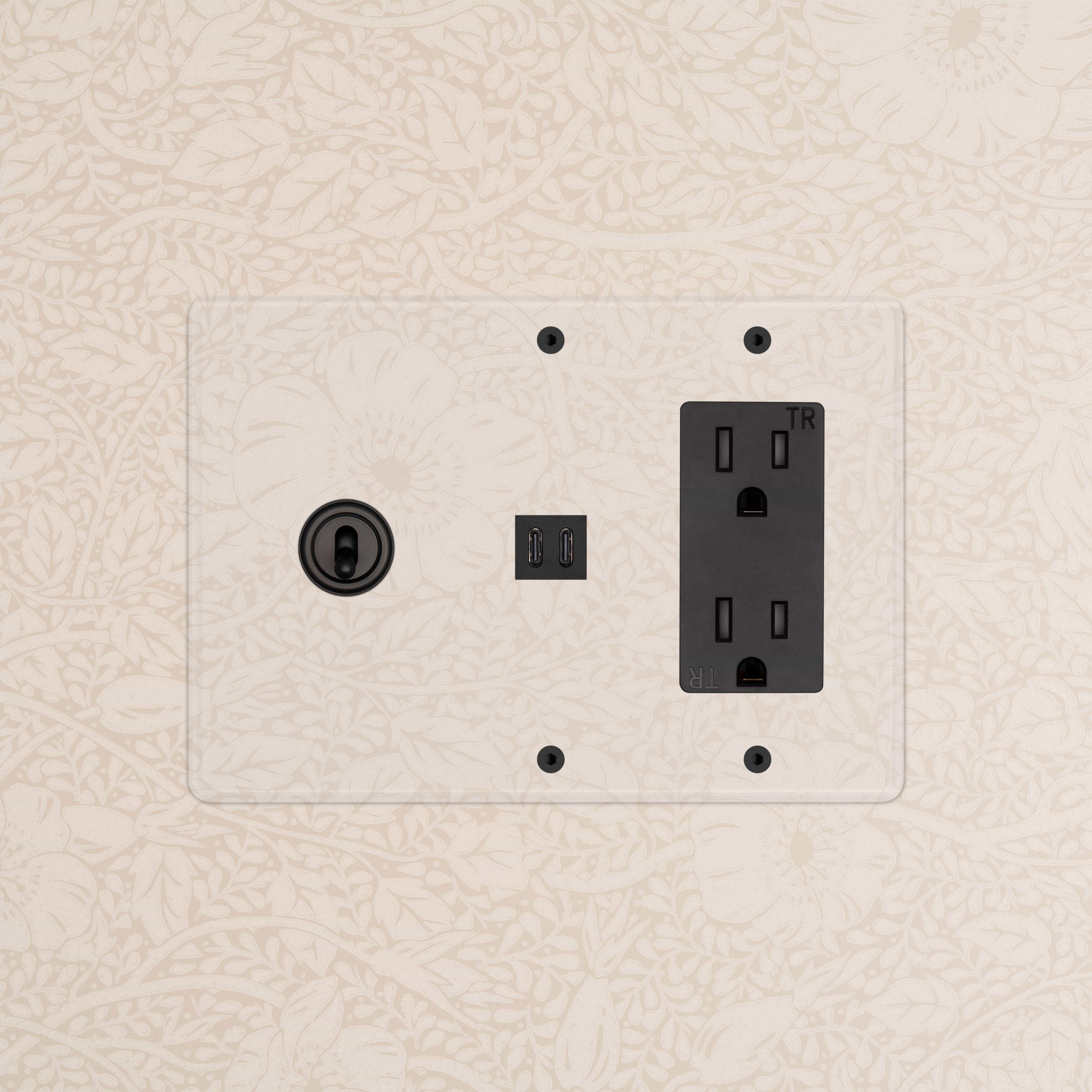 Kew 3G Toggle Switch & Outlet with Fast Charge USB in Clear Bronze Black, set on a beige wall plate.