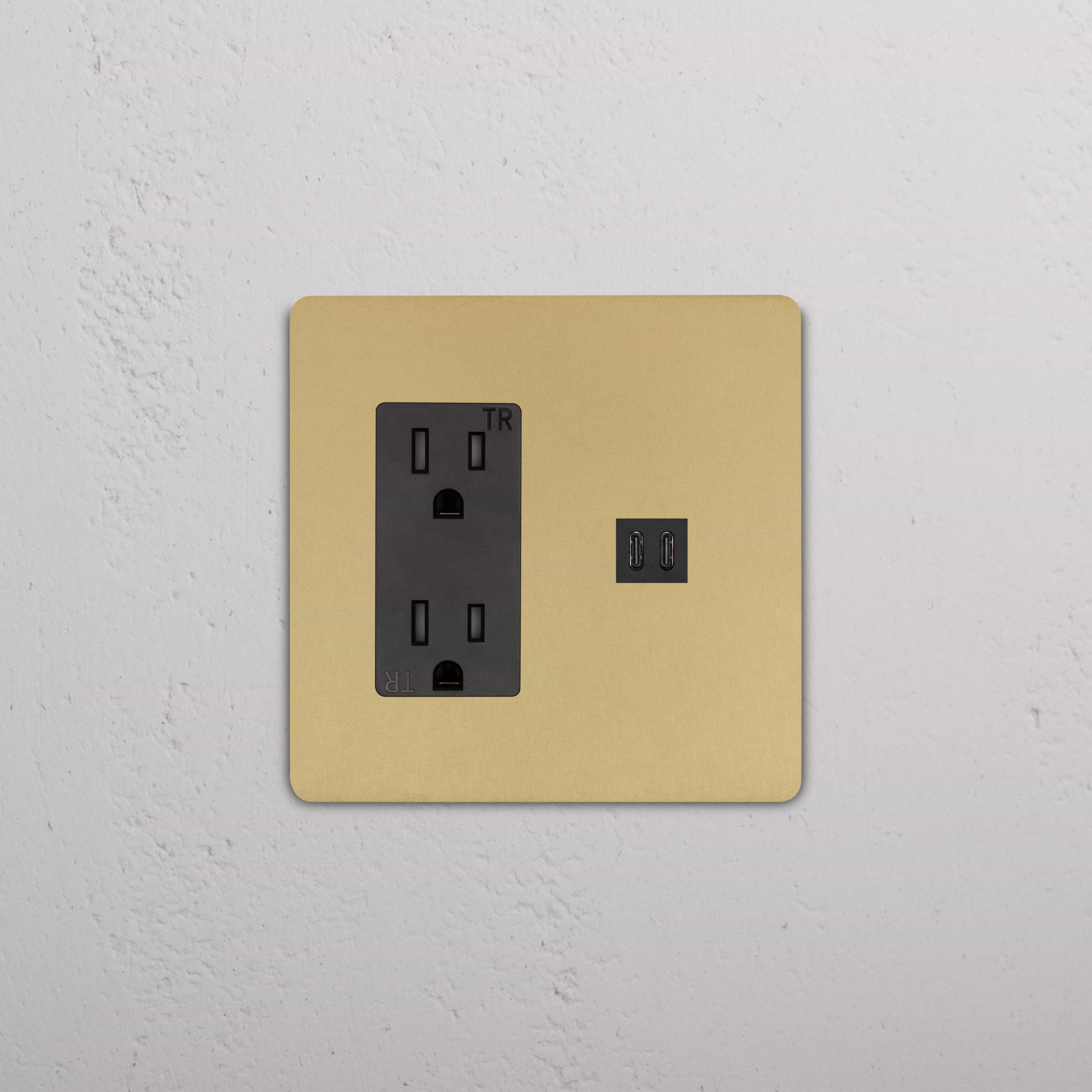 Grove 2G Outlet & Fast Charge USB in Antique Brass Black with two sockets and dual USB ports on gold plate.