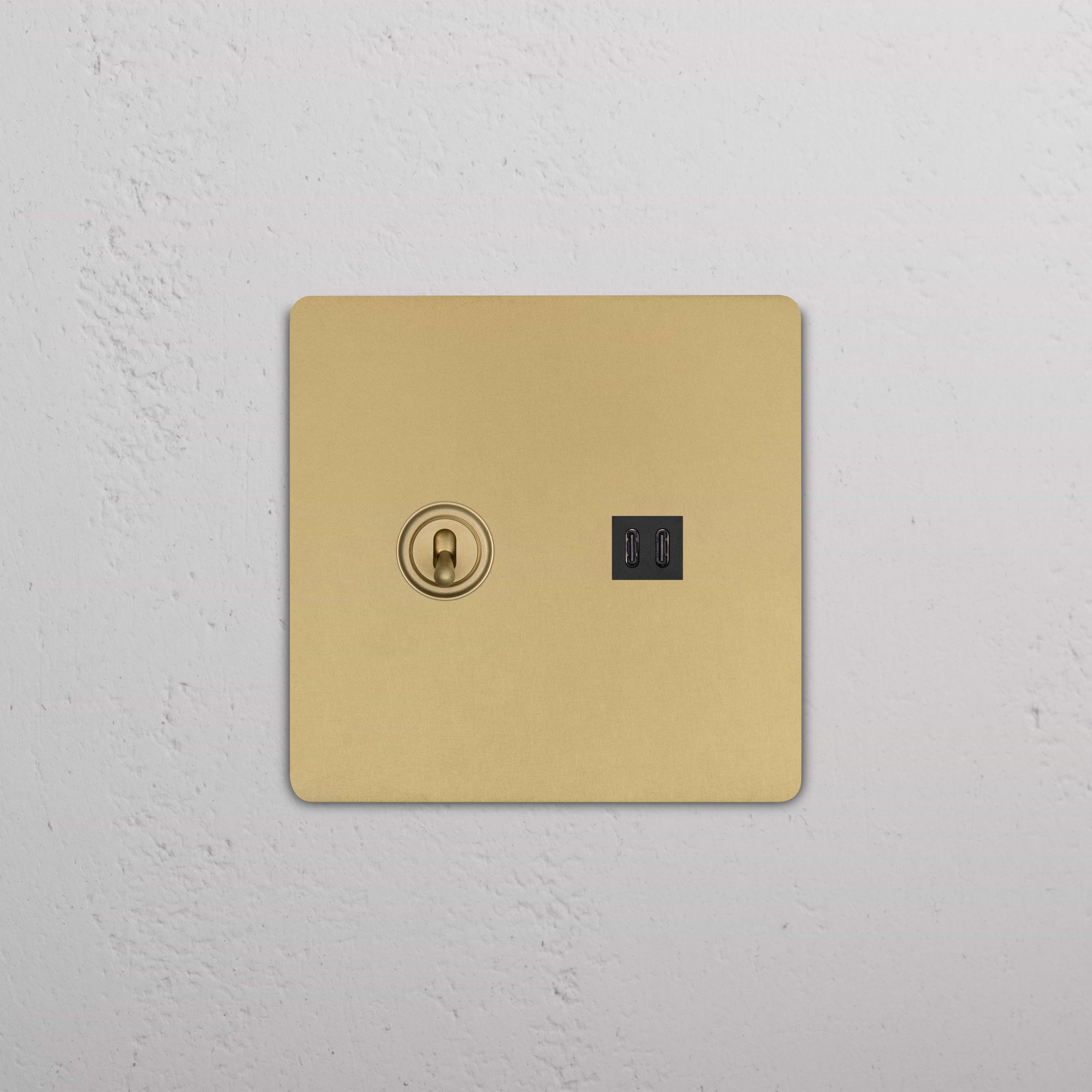 Antique Brass Black Grove 2G toggle switch plate with two toggles and fast charge USB ports.
