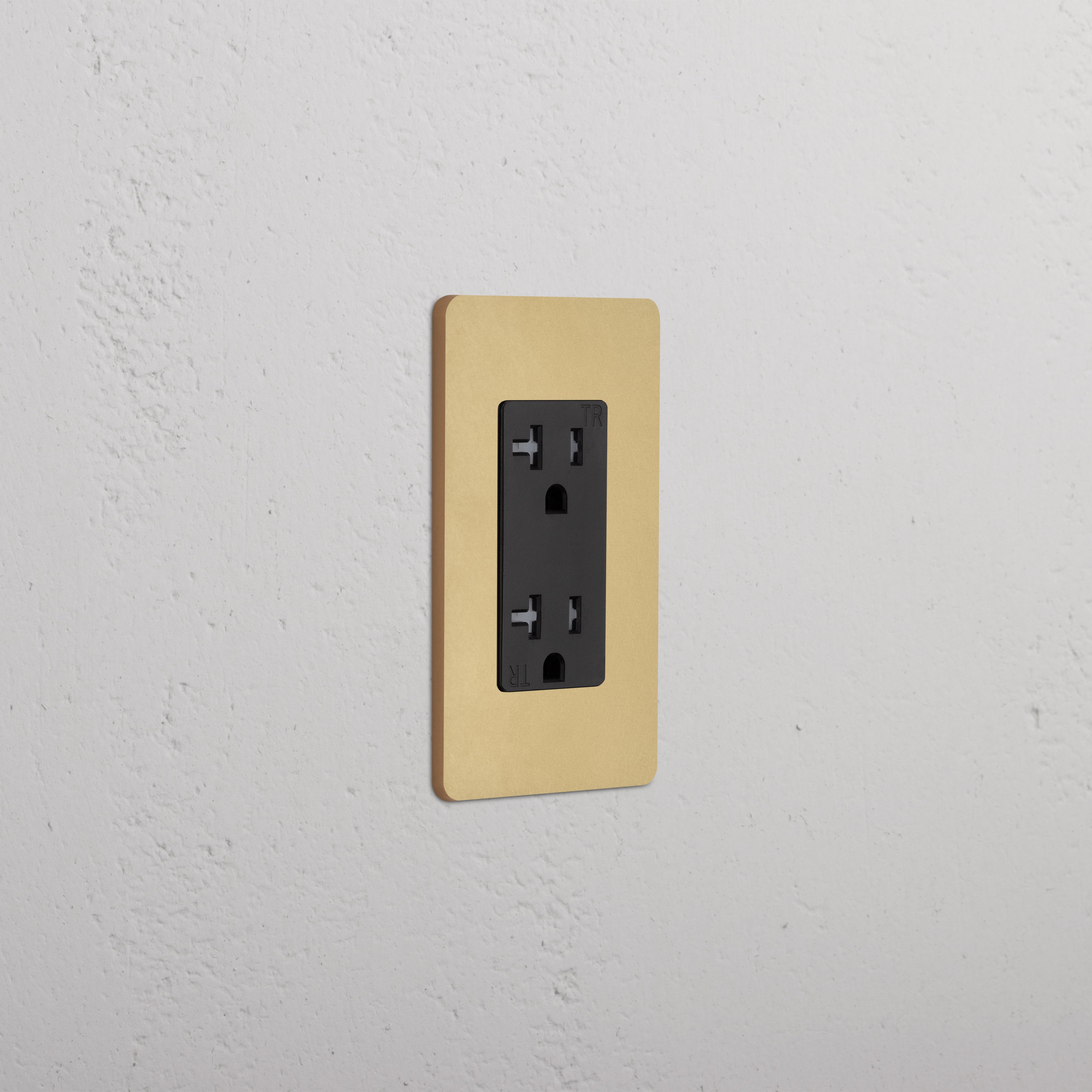 Grove 1G 20A Outlet in Antique Brass Black finish with gold trim, single socket, wall-mounted.