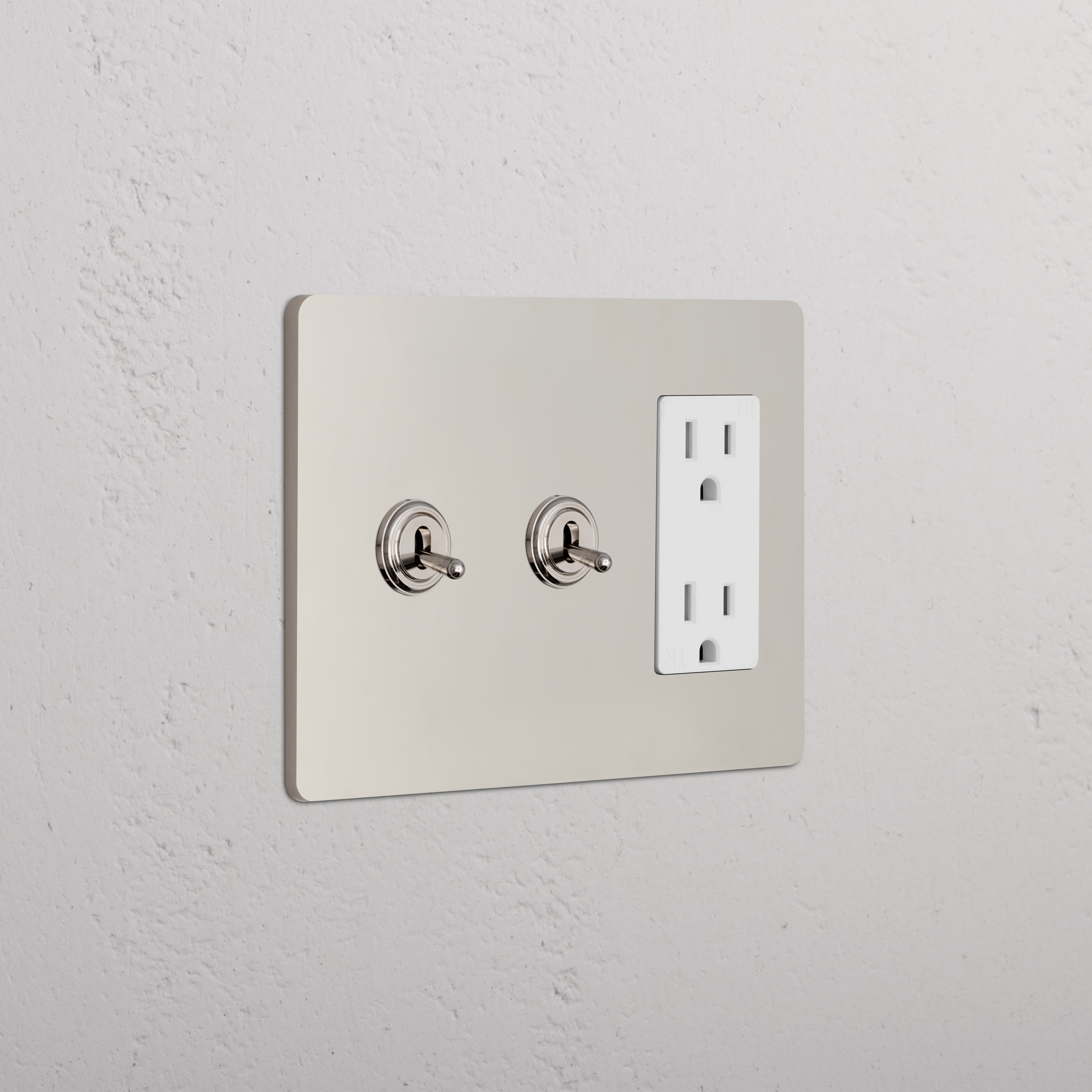 Grove 3G 2x Toggle Switch & Outlet - Polished Nickel White