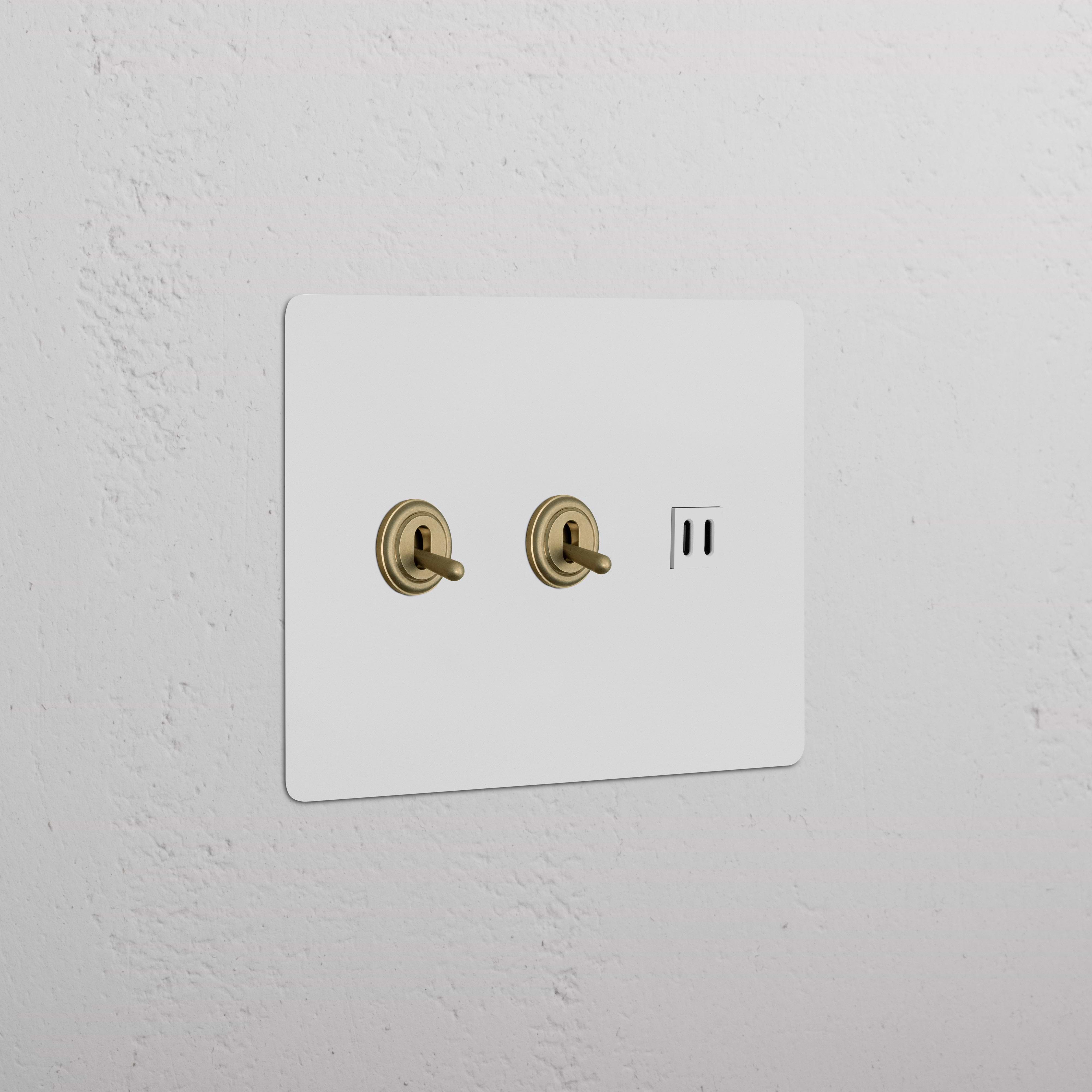 Kew 3G 2x Toggle Switch & Fast Charge USB in paintable antique brass white with two toggles and USB ports.