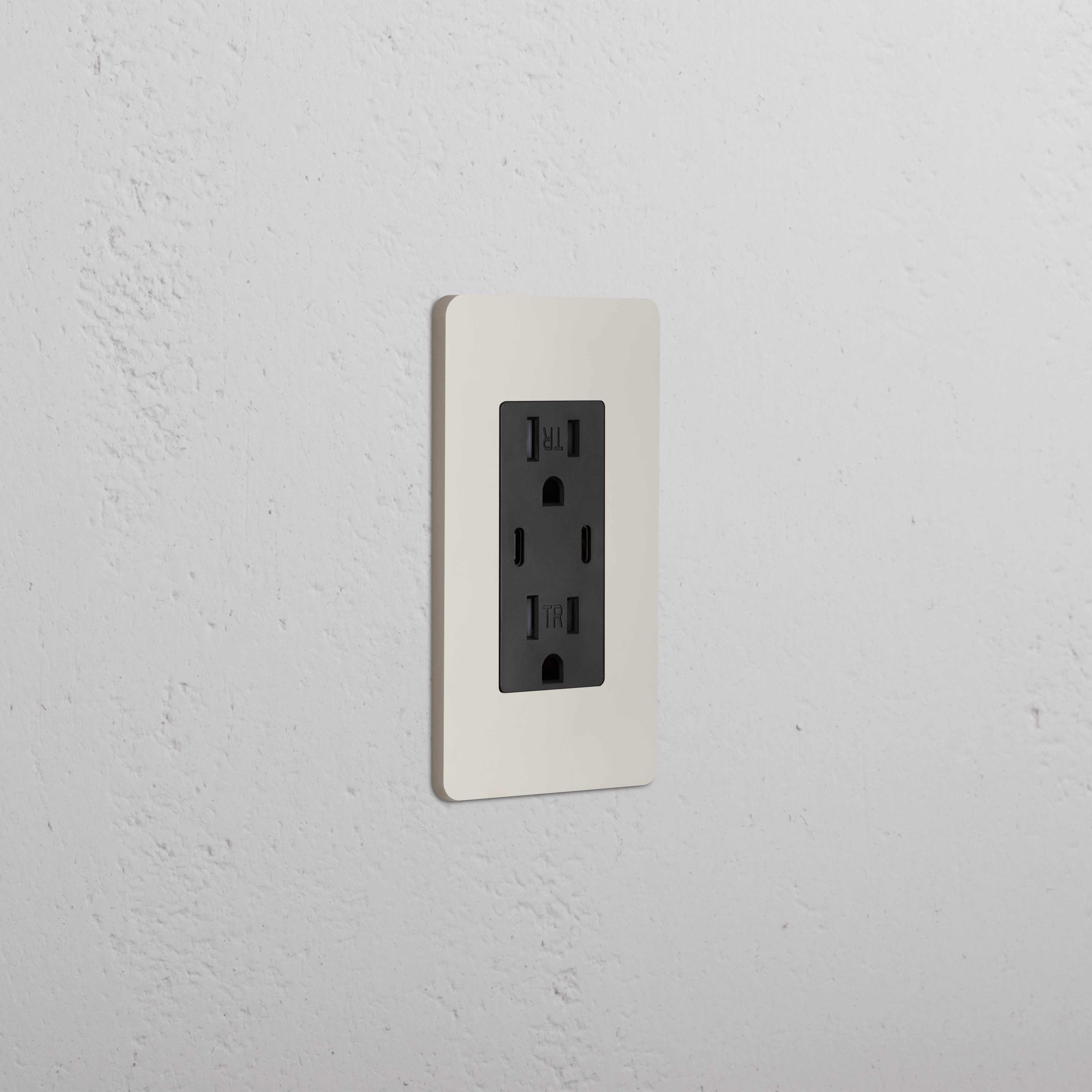 Grove 1G 15A USB Outlet in Polished Nickel Black, with two power sockets and two USB ports.