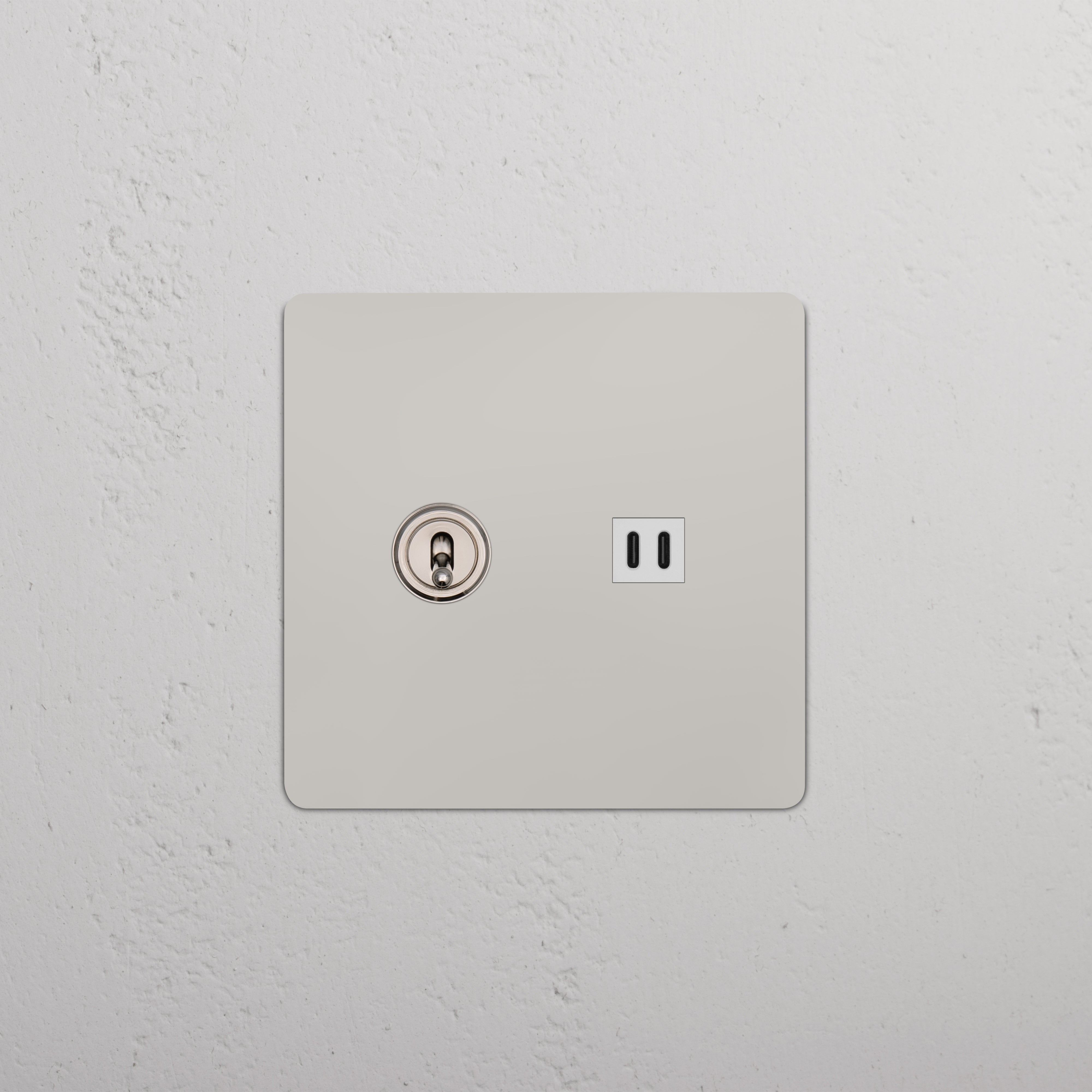 Kew 2G Toggle Switch & Fast Charge USB in polished nickel with white finish, shown mounted on a wall.