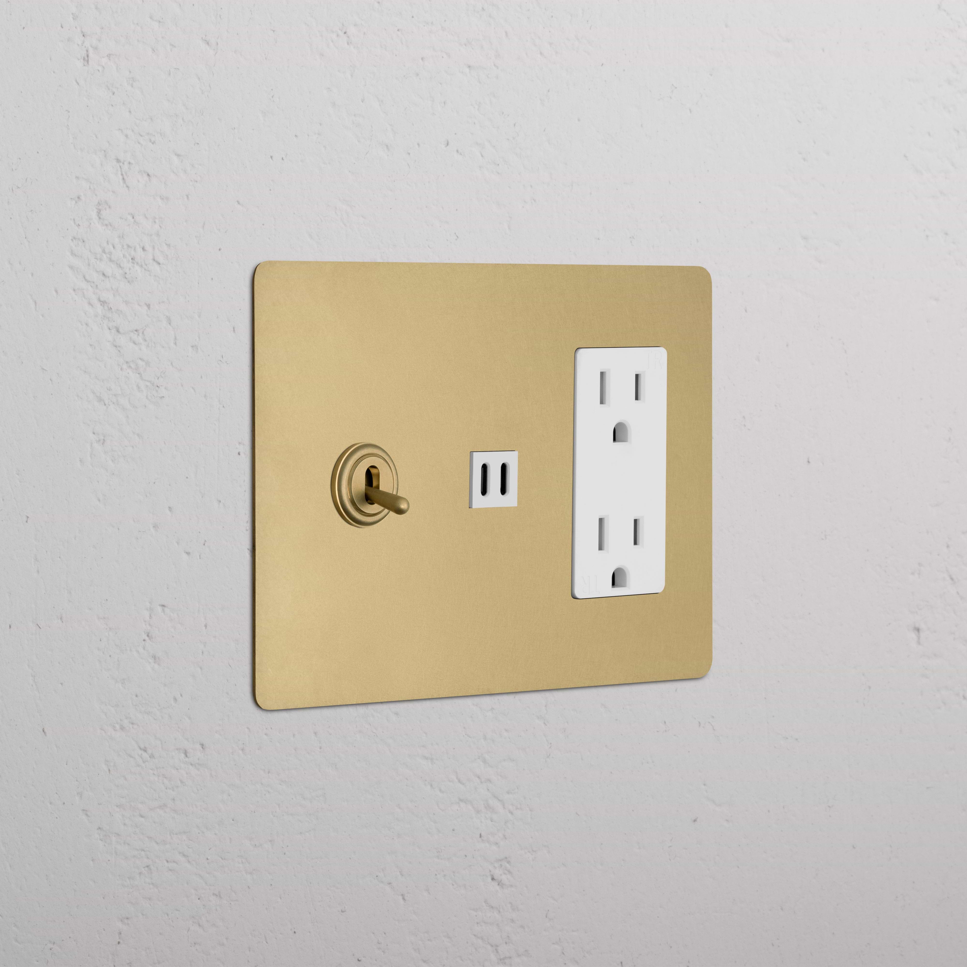 Kew 3G Toggle Switch, Outlet, and Fast Charge USB in Antique Brass White with gold plate and white components.