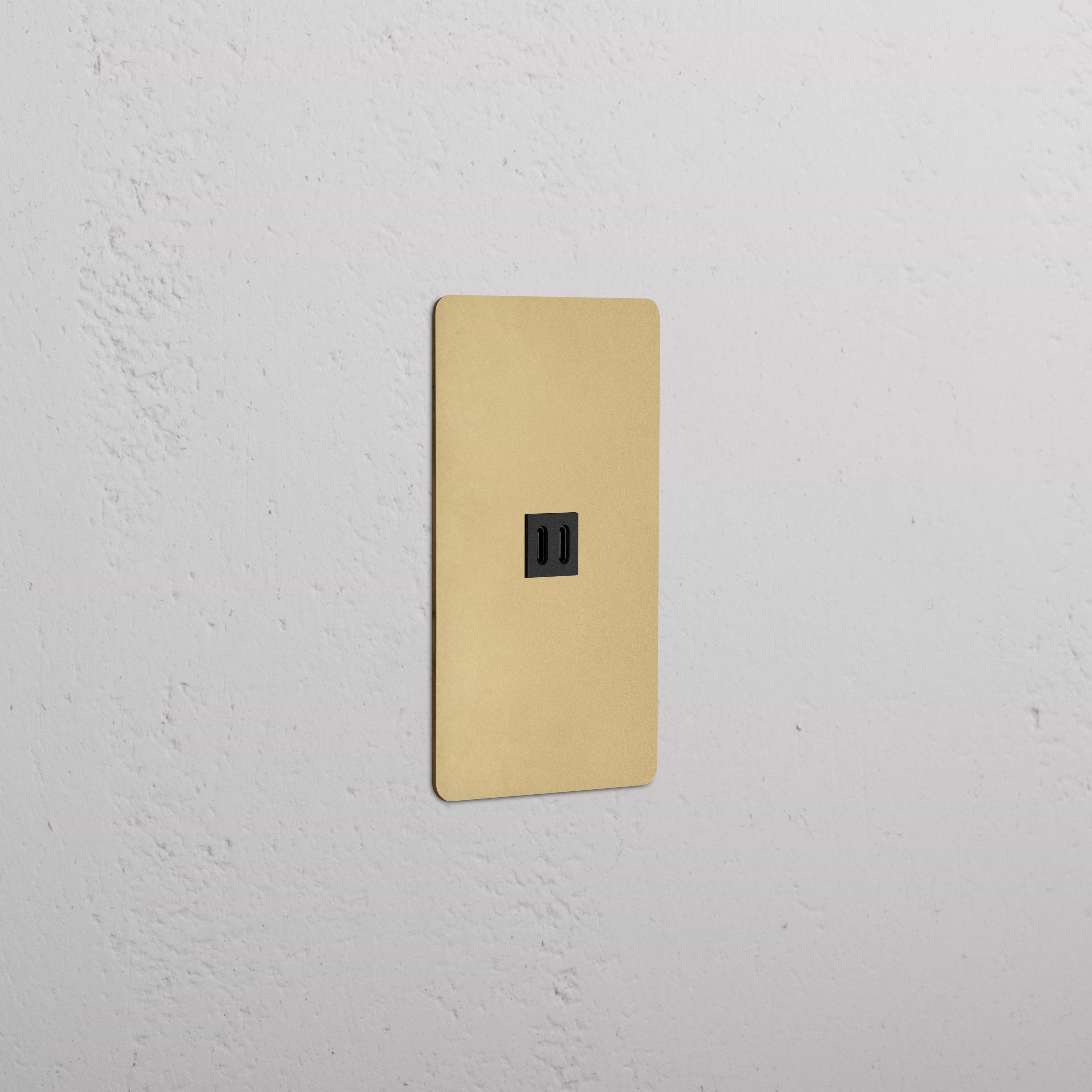 Kew 1G Fast Charge 45W USB Keystone with Antique Brass Black faceplate, single USB port on wall.