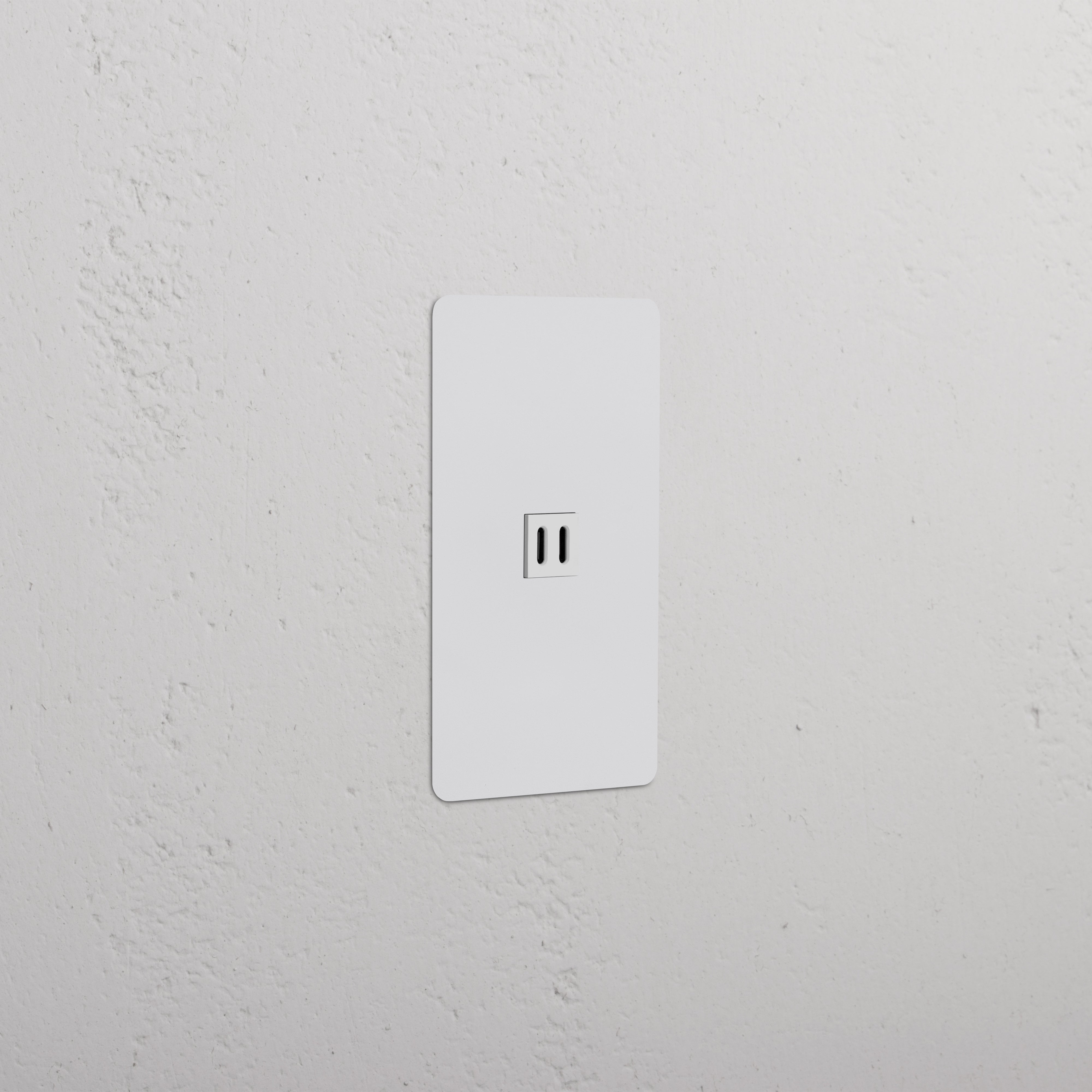 Kew 1G Fast Charge 65W USB Keystone in paintable white, wall-mounted USB charging port.