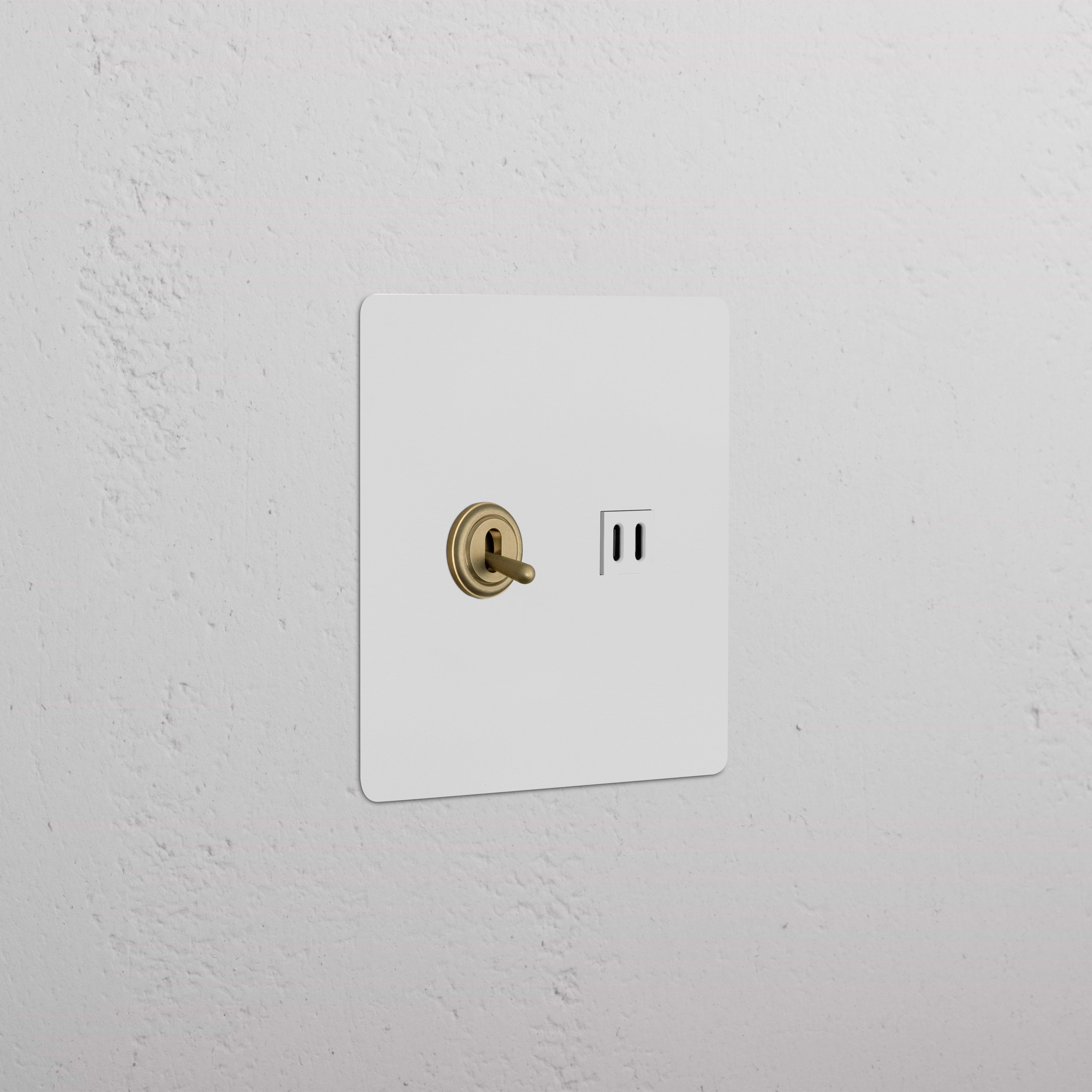 Kew 2G Toggle Switch & Fast Charge USB in paintable antique brass white with brass toggles and dual USB ports.