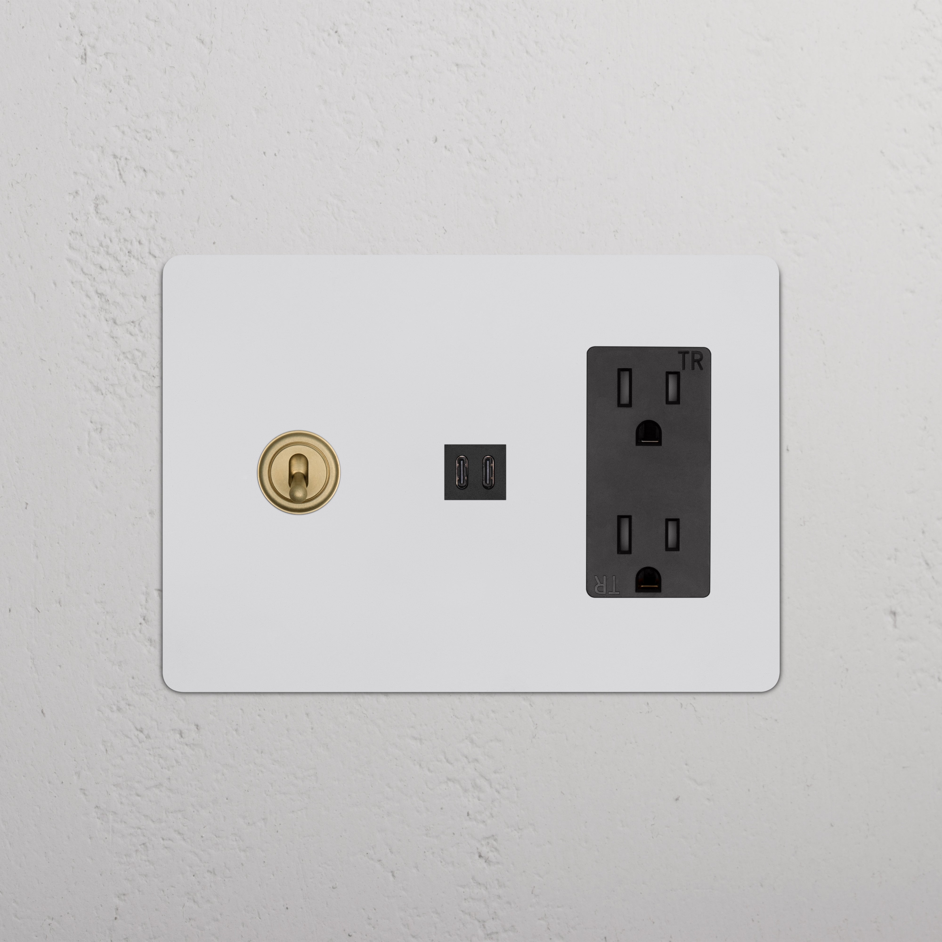 Kew 3G Toggle Switch & Outlet with Fast Charge USB in paintable antique brass black, shown installed on wall.