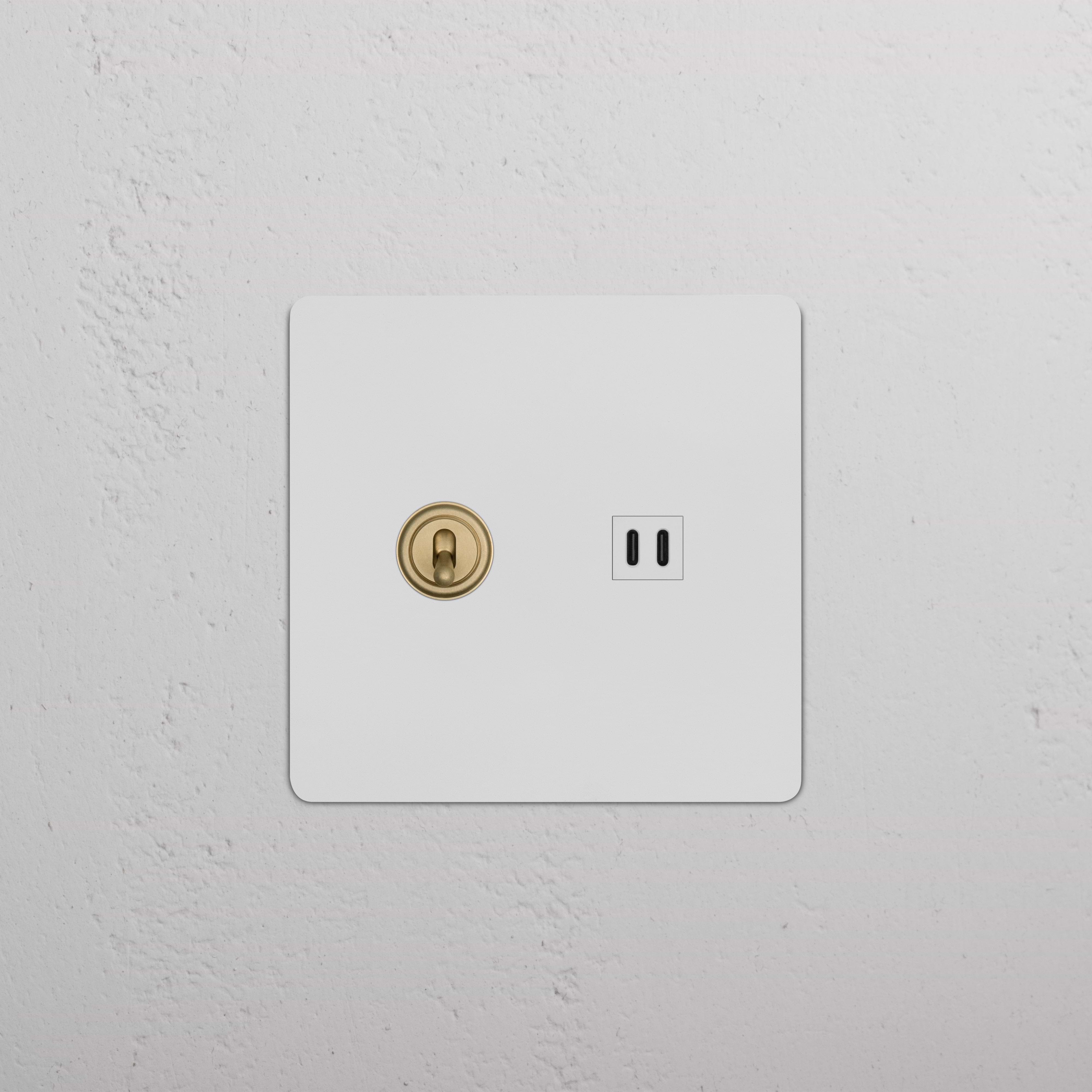 Kew 2G Toggle Switch & Fast Charge USB in paintable antique brass with white plate, shown wall-mounted.
