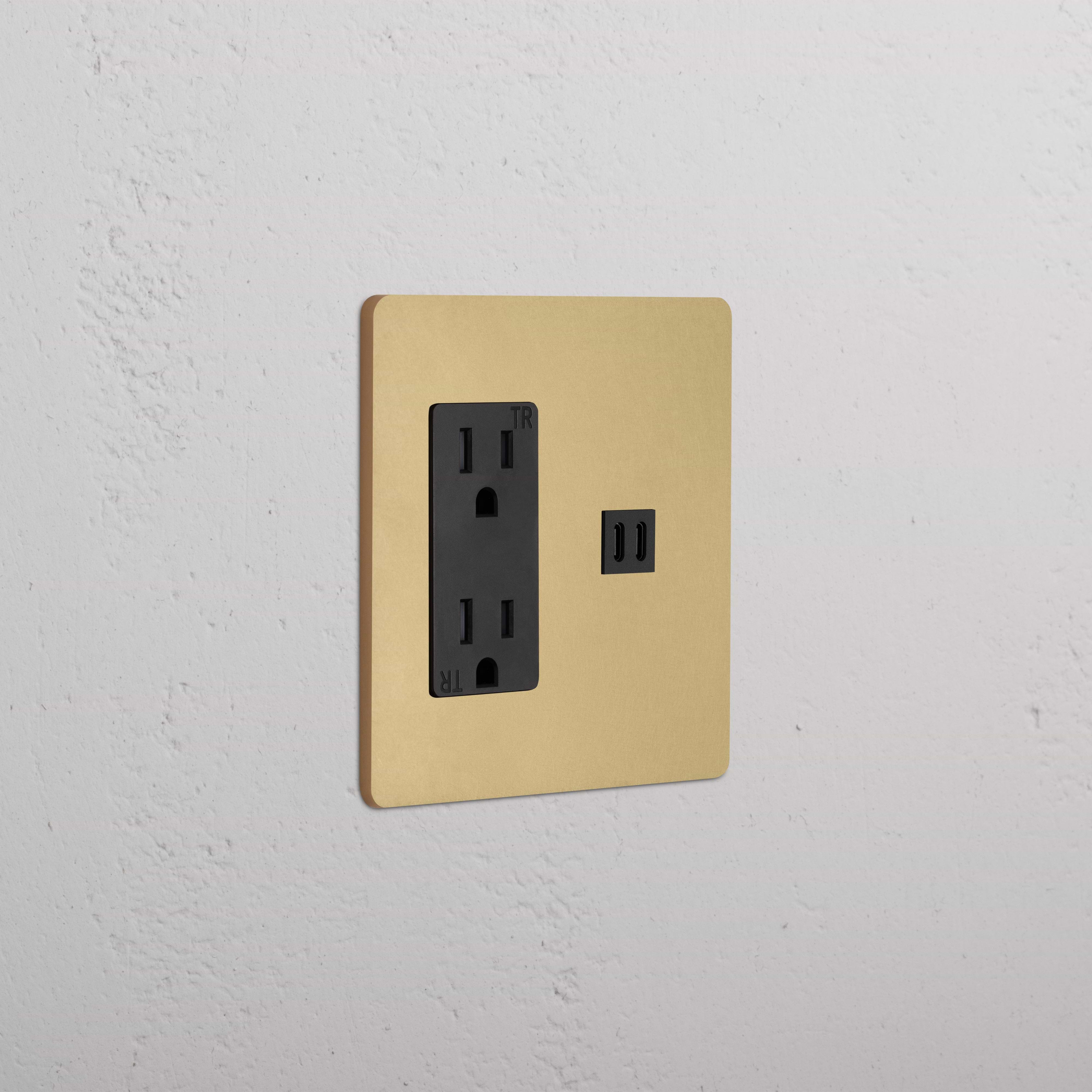 Grove 2G Outlet & Fast Charge USB in Antique Brass Black with two outlets and USB ports, wall-mounted.
