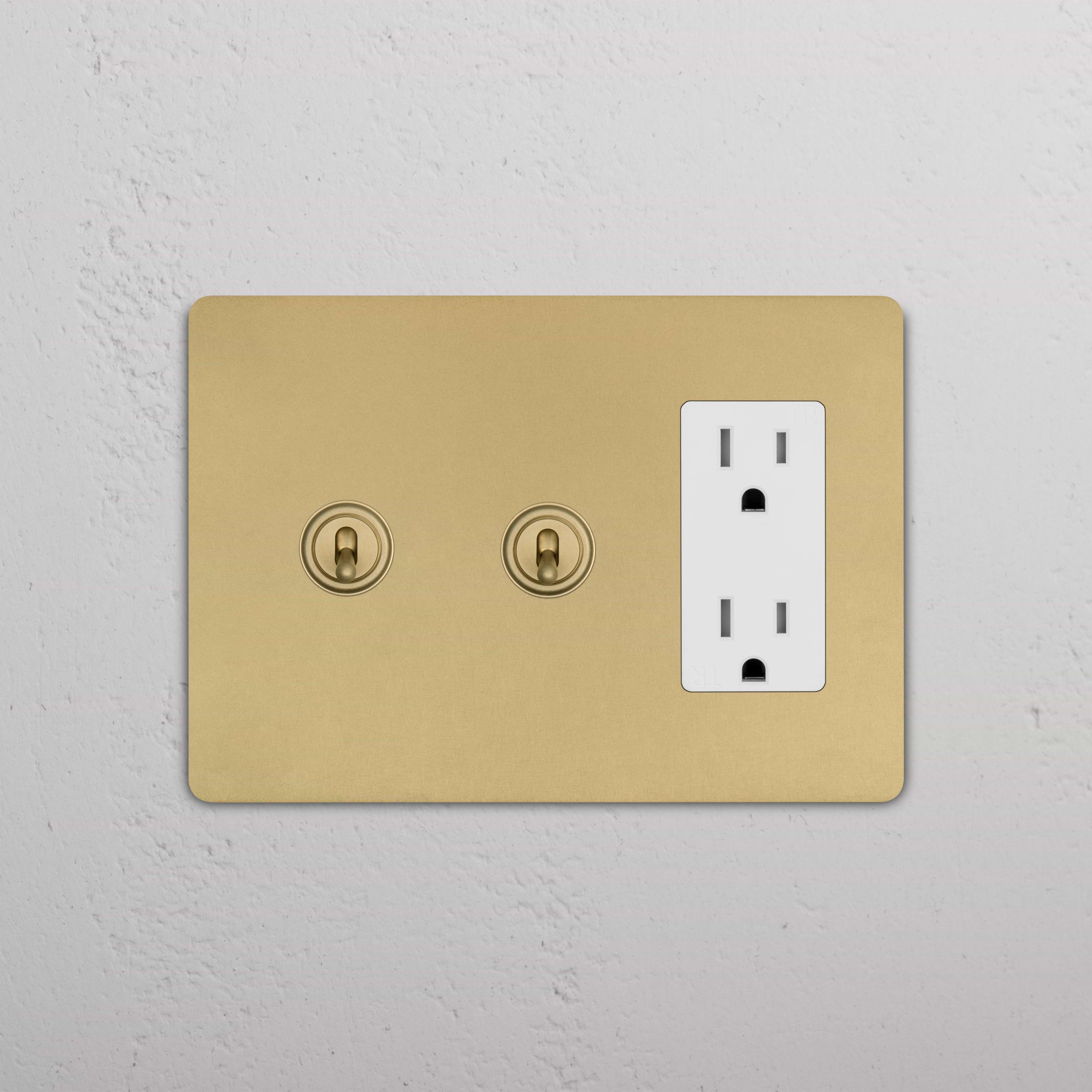 Grove 3G 2x Toggle Switch & Outlet in antique brass white with two toggles and double outlet on a brass plate.