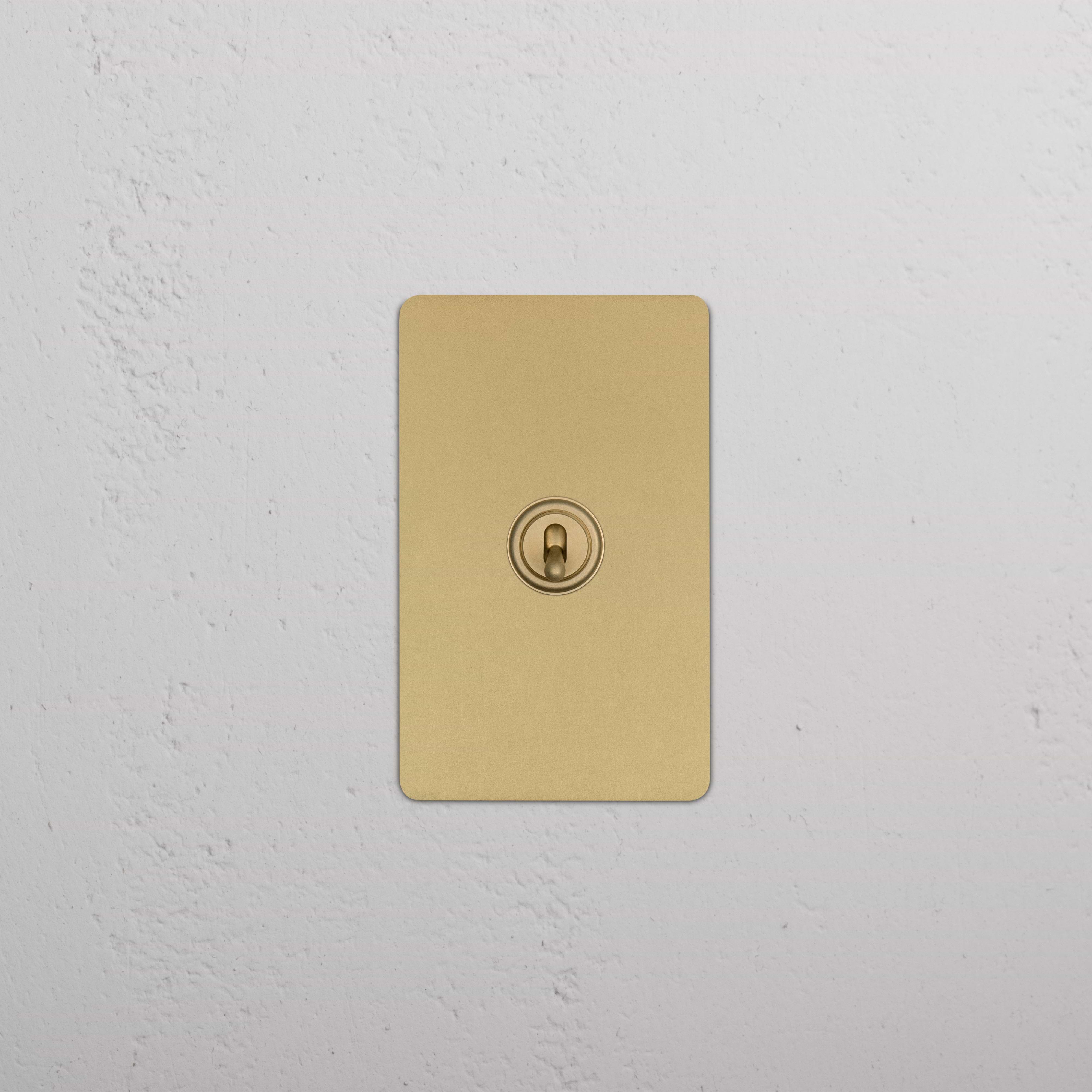 Kew 1G Four Way Toggle Switch in antique brass with rectangular plate, shown mounted on a white wall.