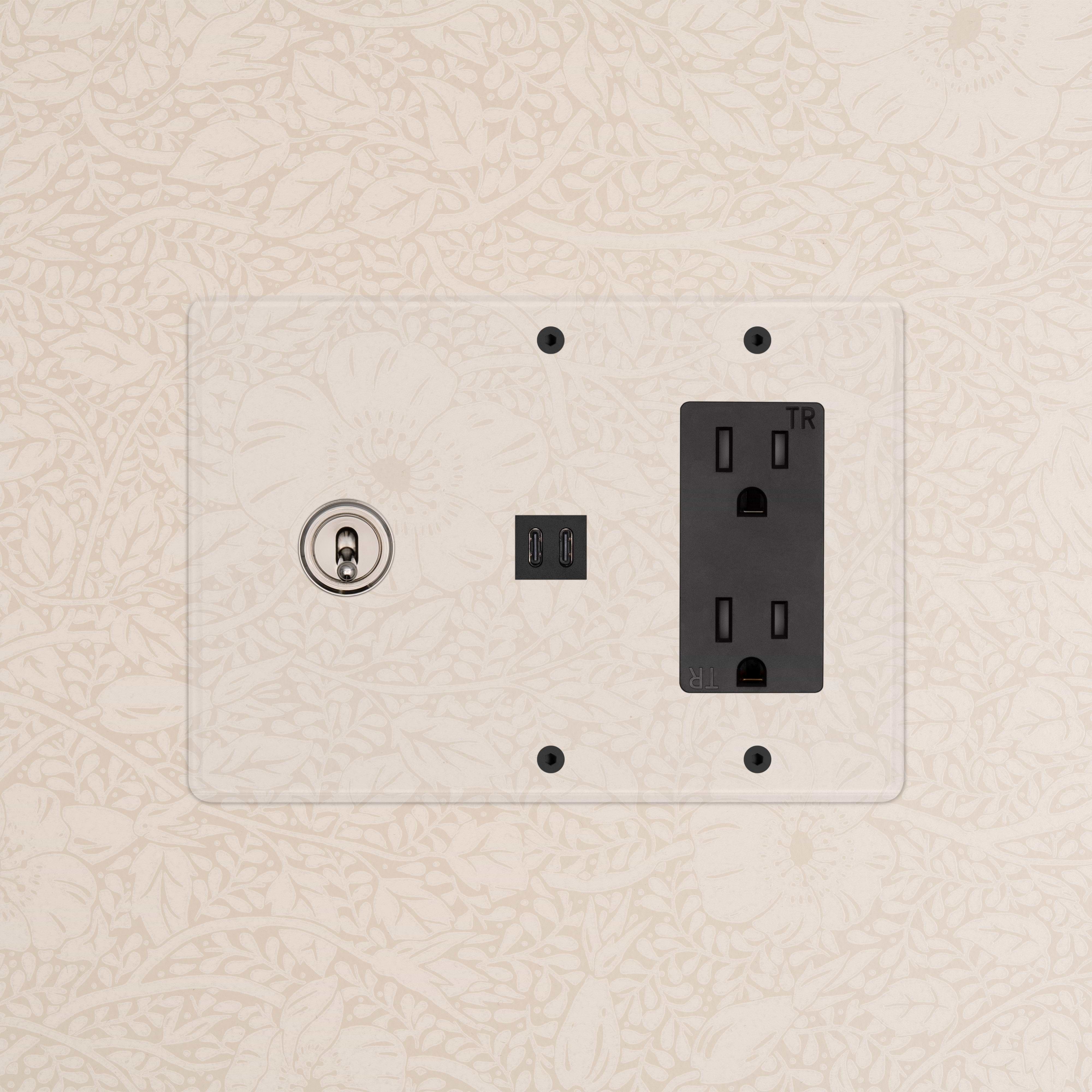 Kew 3G Toggle Switch & Outlet with Fast Charge USB in Clear Polished Nickel Black, shown installed on wall.