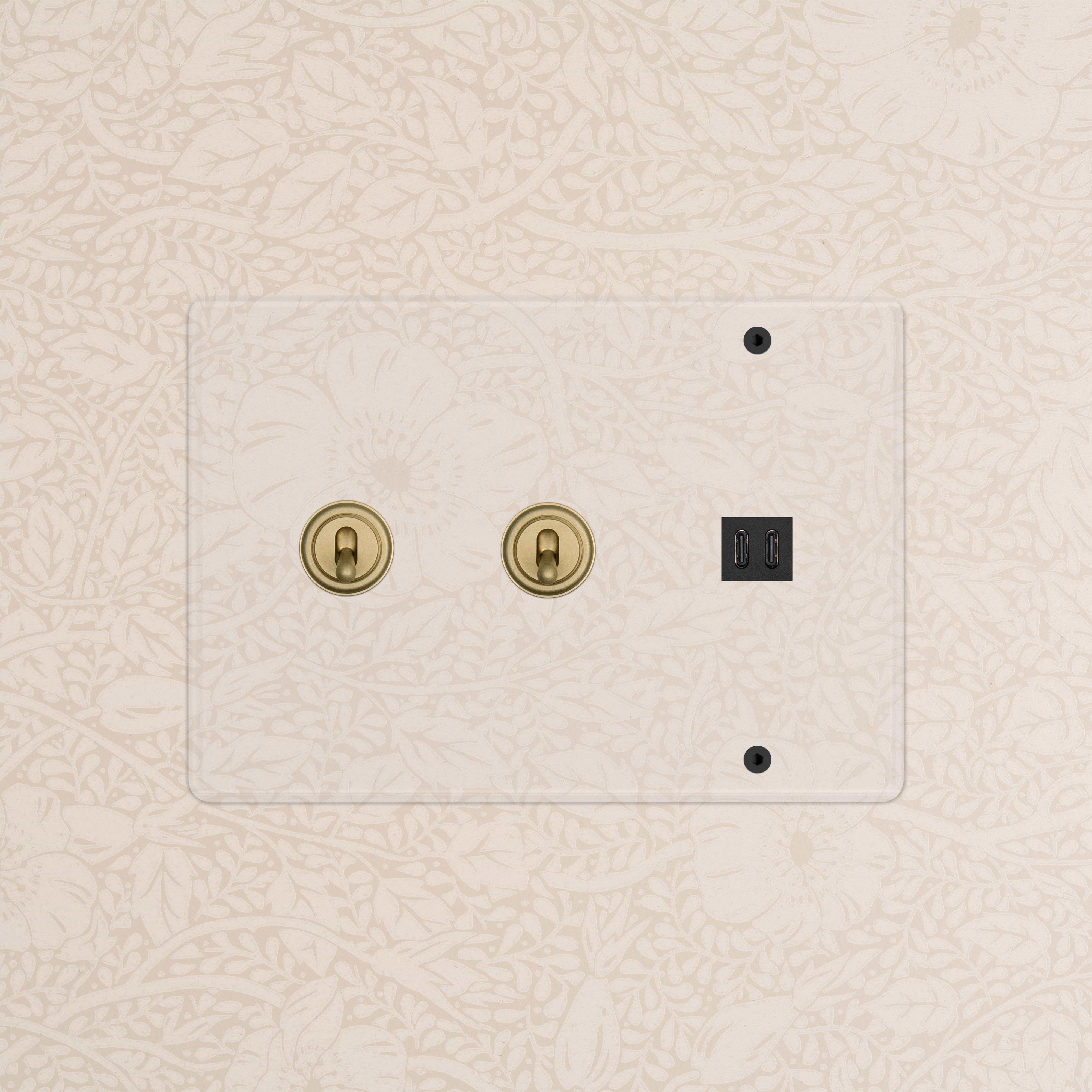 Kew 3G 2x Toggle Switch & Fast Charge USB in Clear Antique Brass Black with two toggles and dual USB ports.