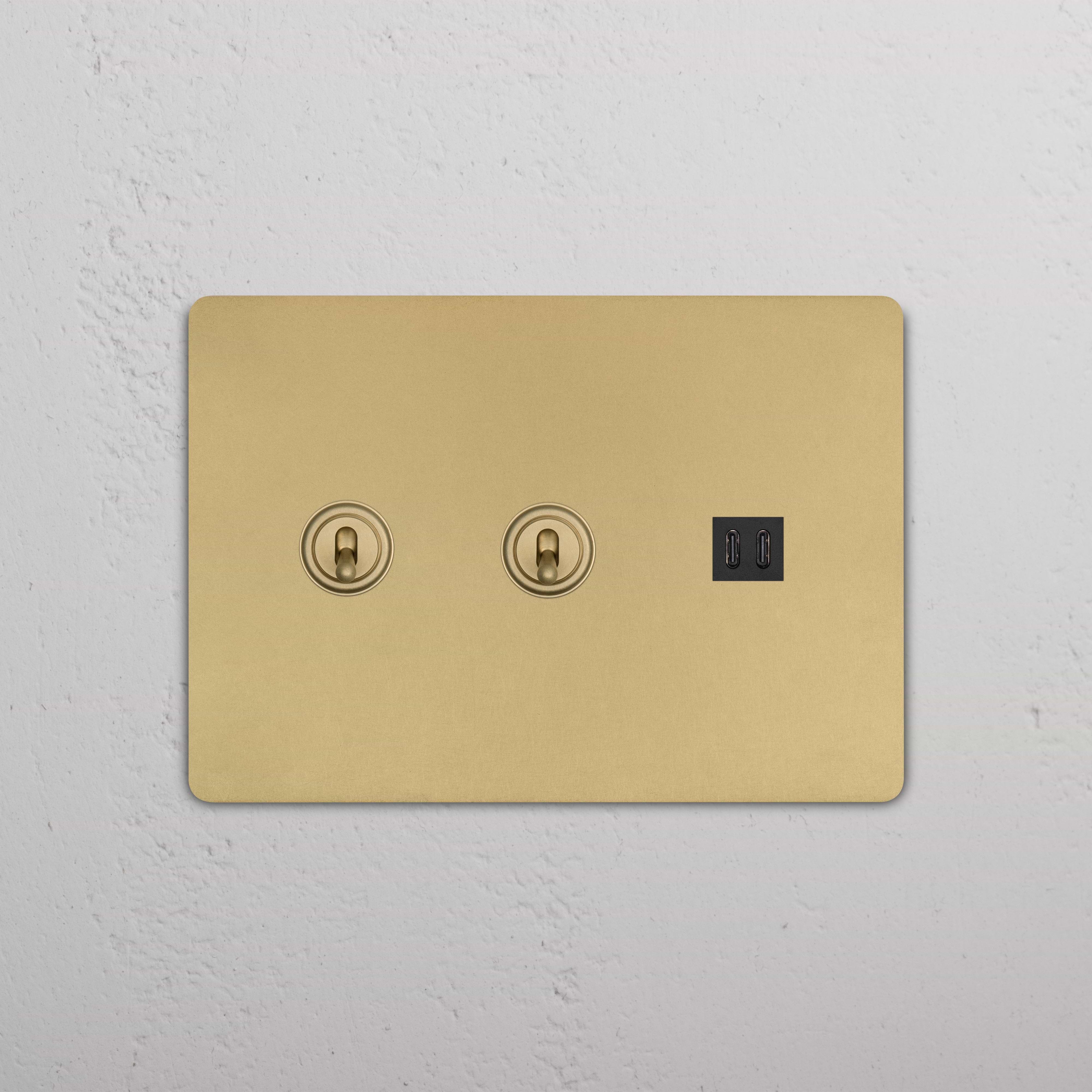 Grove 3G 2x Toggle Switch with Fast Charge USB in Antique Brass Black, showing two toggles and dual USB ports.