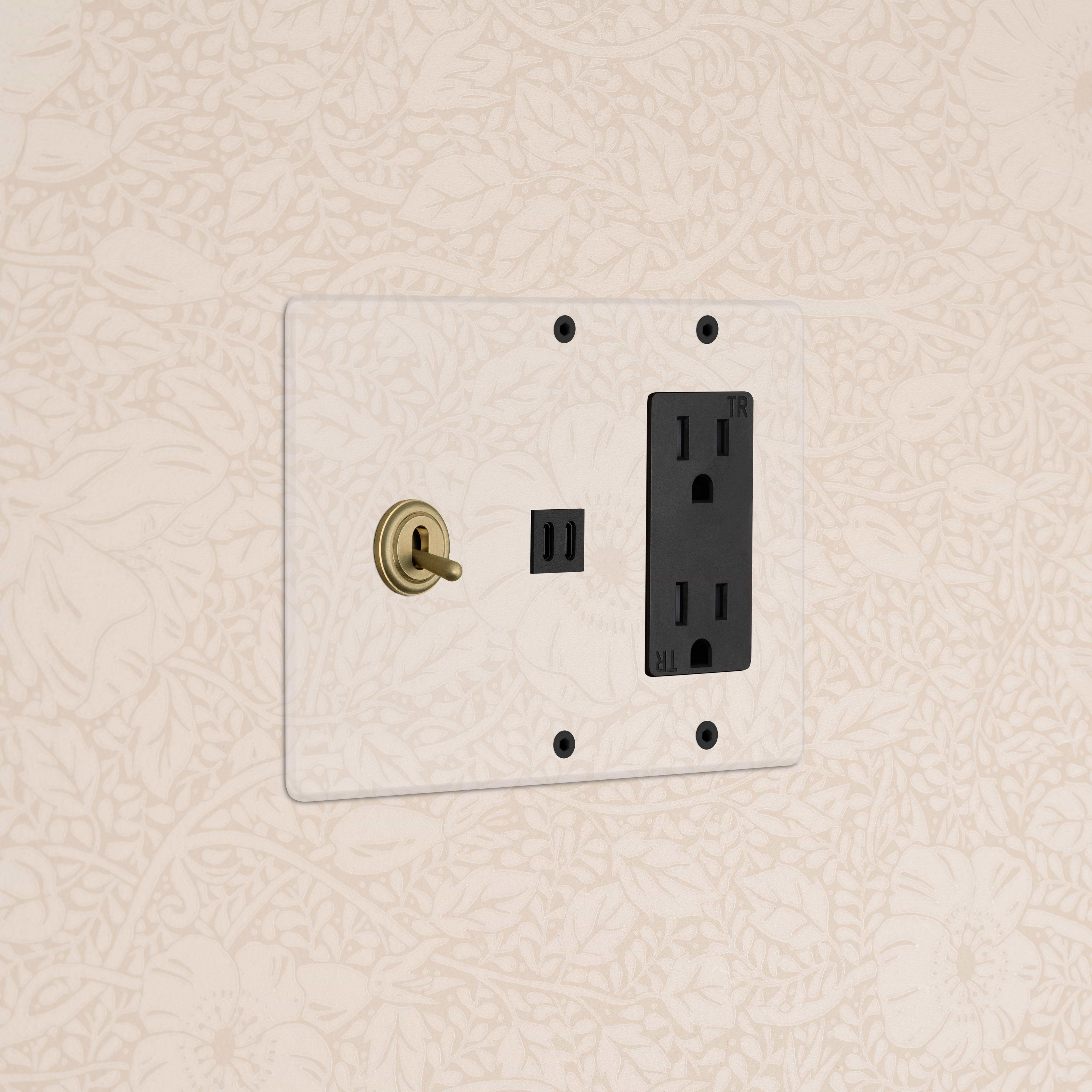 Clear Antique Brass Kew 3G Toggle Switch with outlet and fast charge USB on a black wall plate.