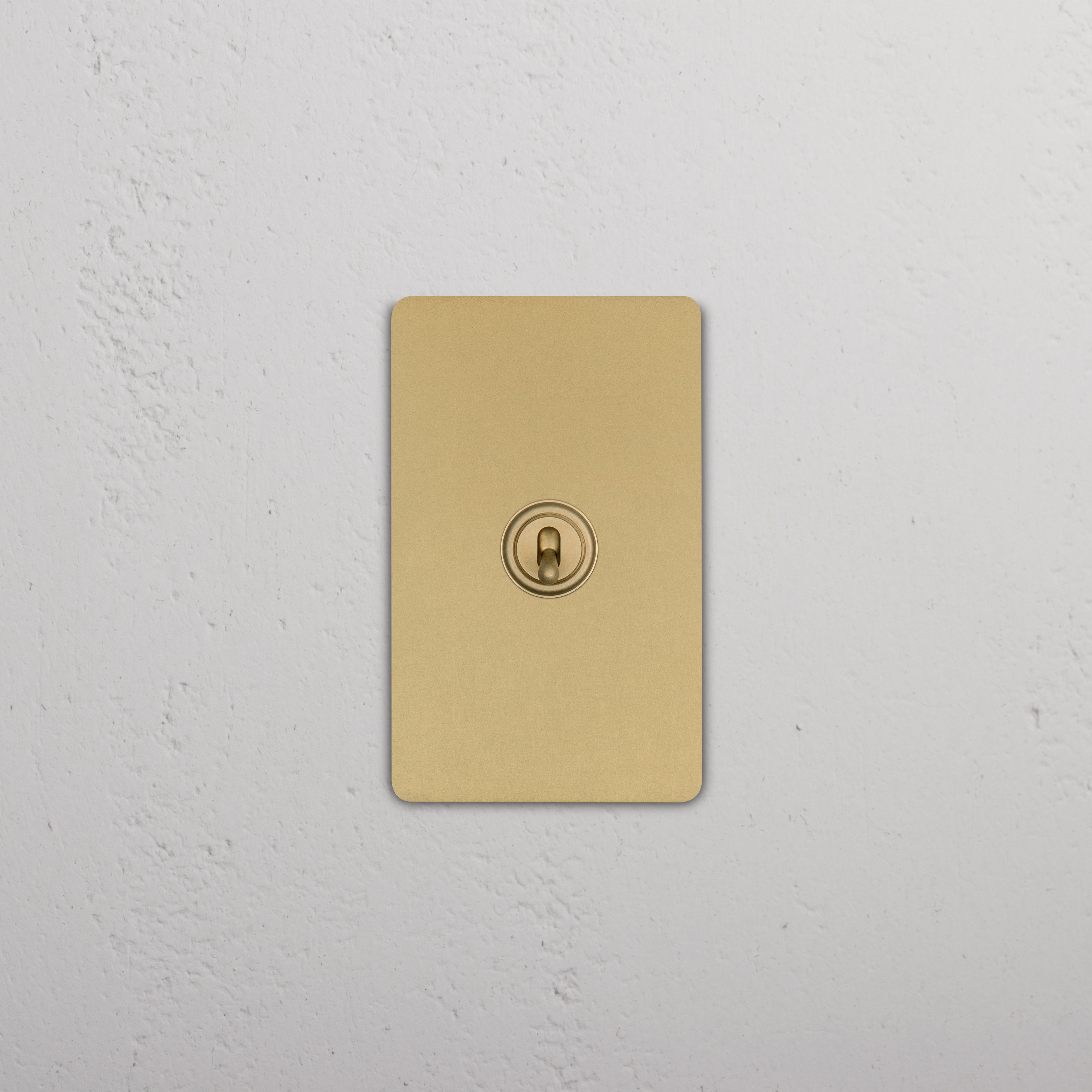 Grove 1G Toggle Switch in antique brass with a rectangular, gold-hued plate and rounded corners on a wall.