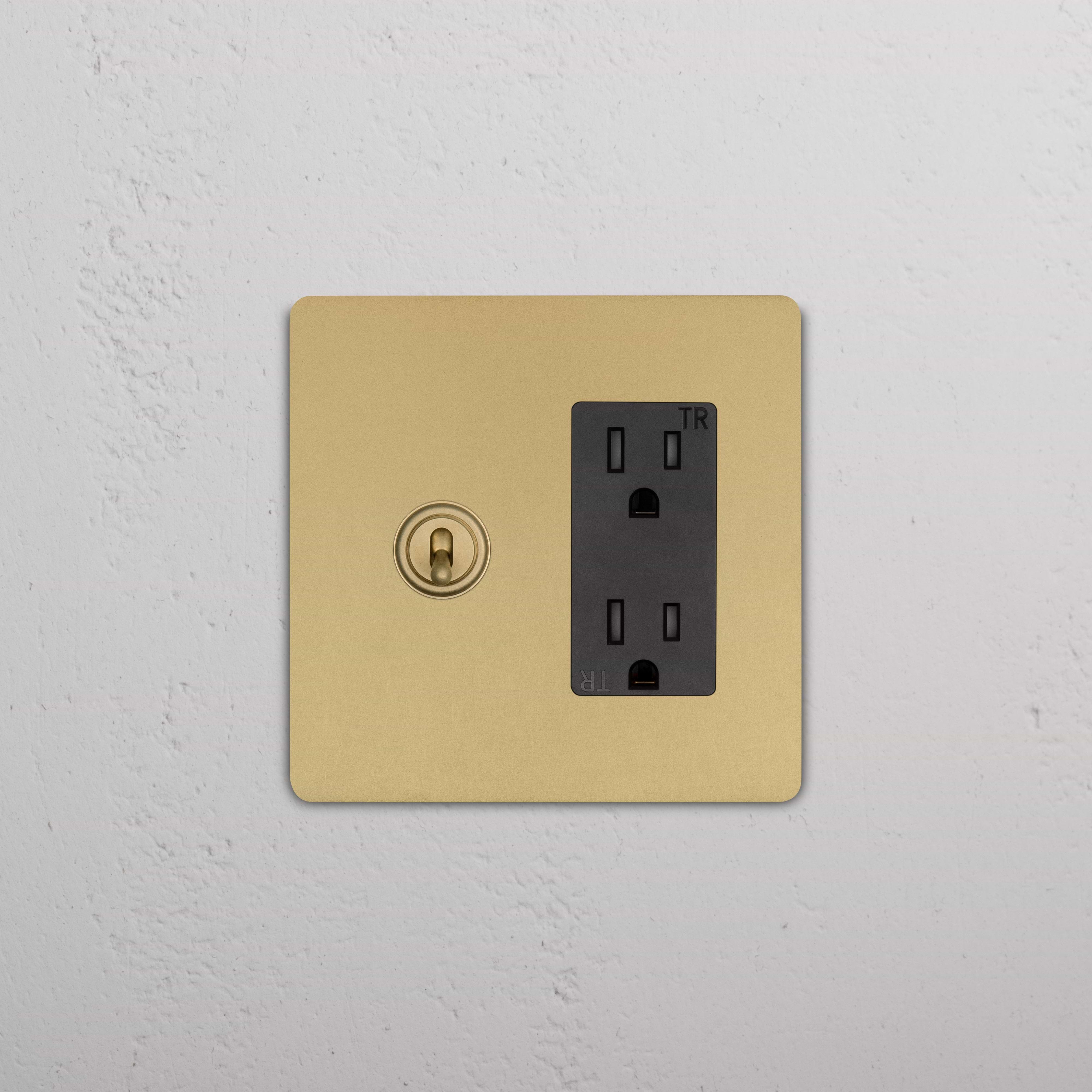 Antique Brass Black Grove 2G Toggle Switch & Outlet with two toggle switches and a double outlet on a brass plate.