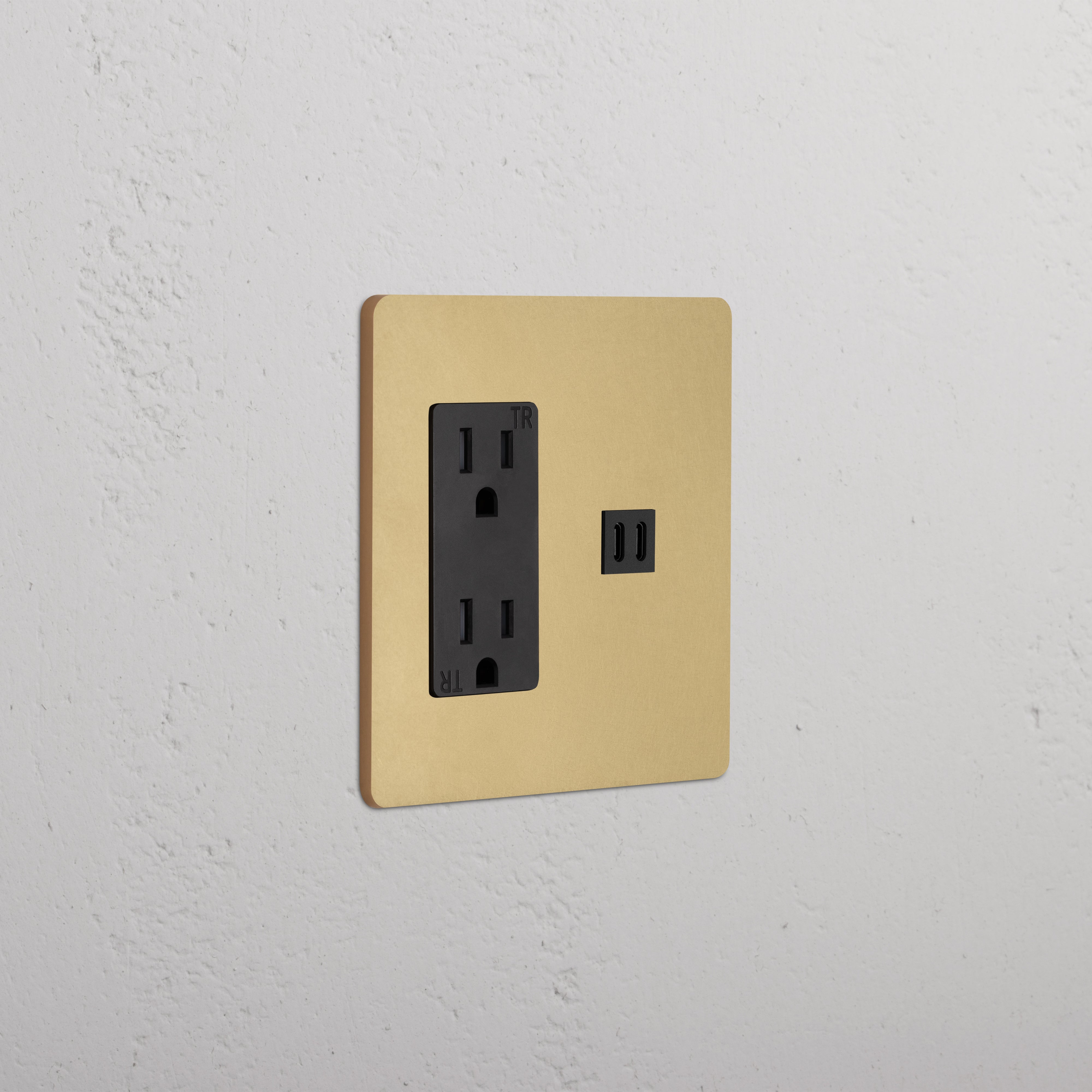 Grove 2G Outlet & Fast Charge USB in Antique Brass Black with two outlets and USB ports, wall-mounted.