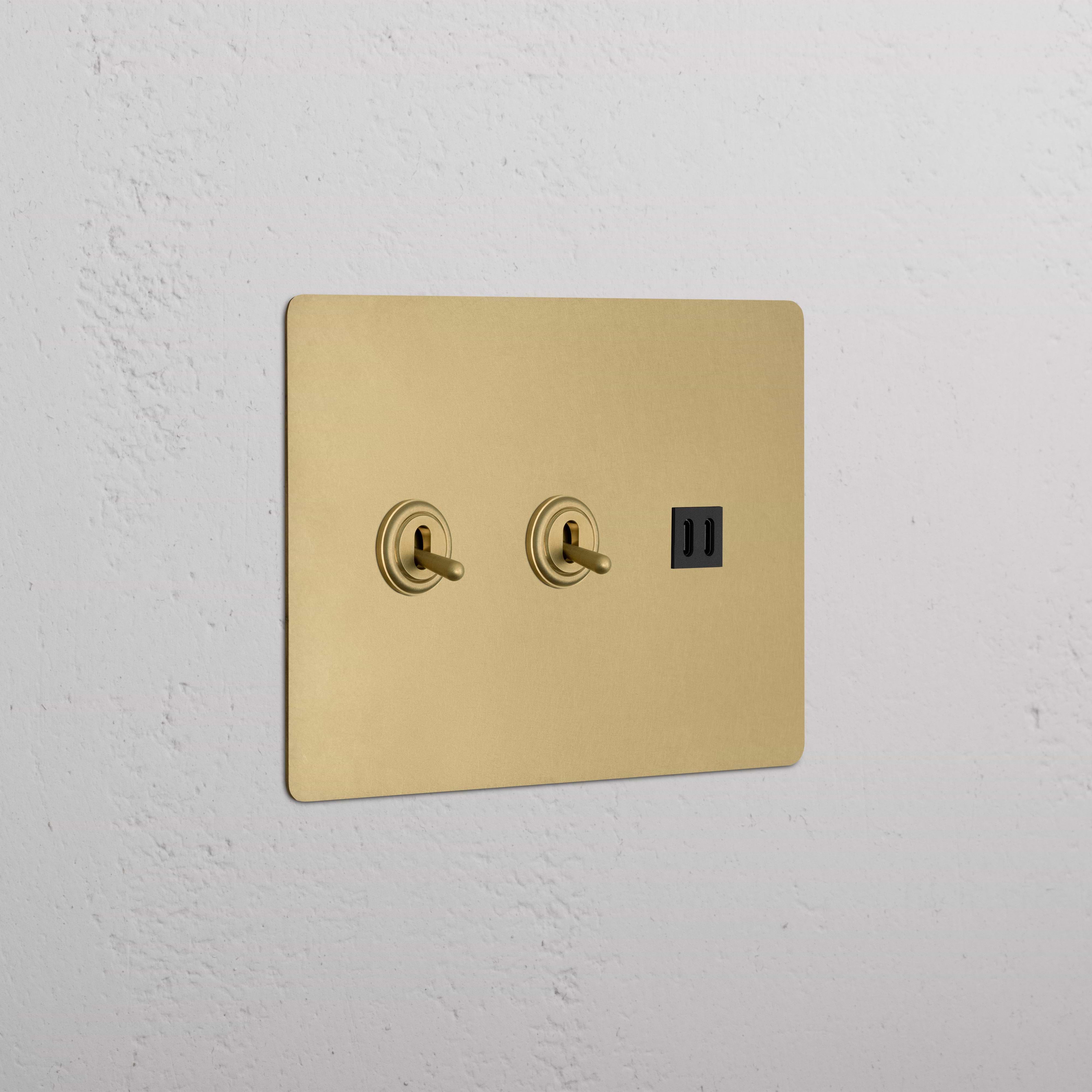 Kew 3G 2x Toggle Switch & Fast Charge USB - Antique Brass Black