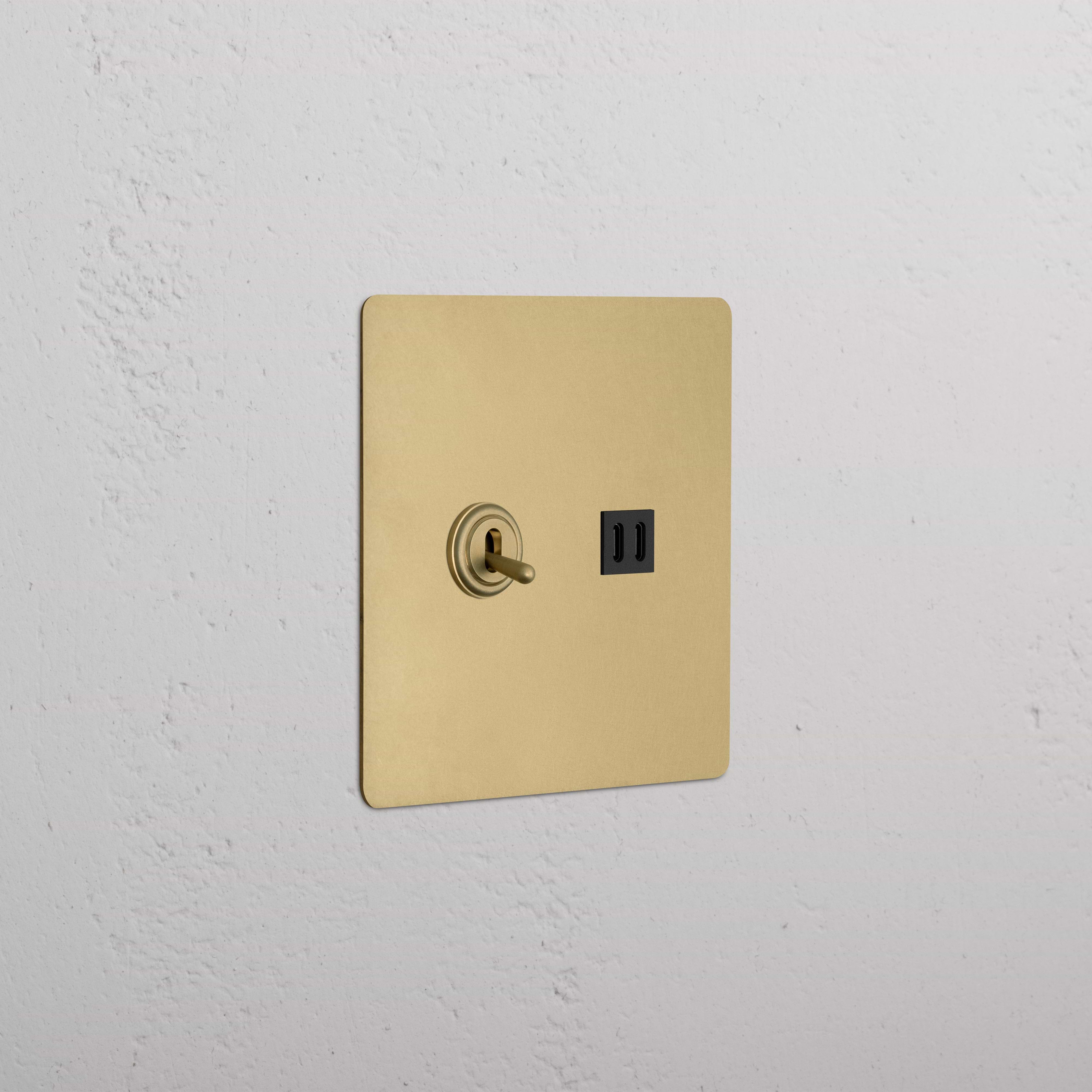 Kew 2G Toggle Switch & Fast Charge USB in Antique Brass Black with two toggles and a black USB port.