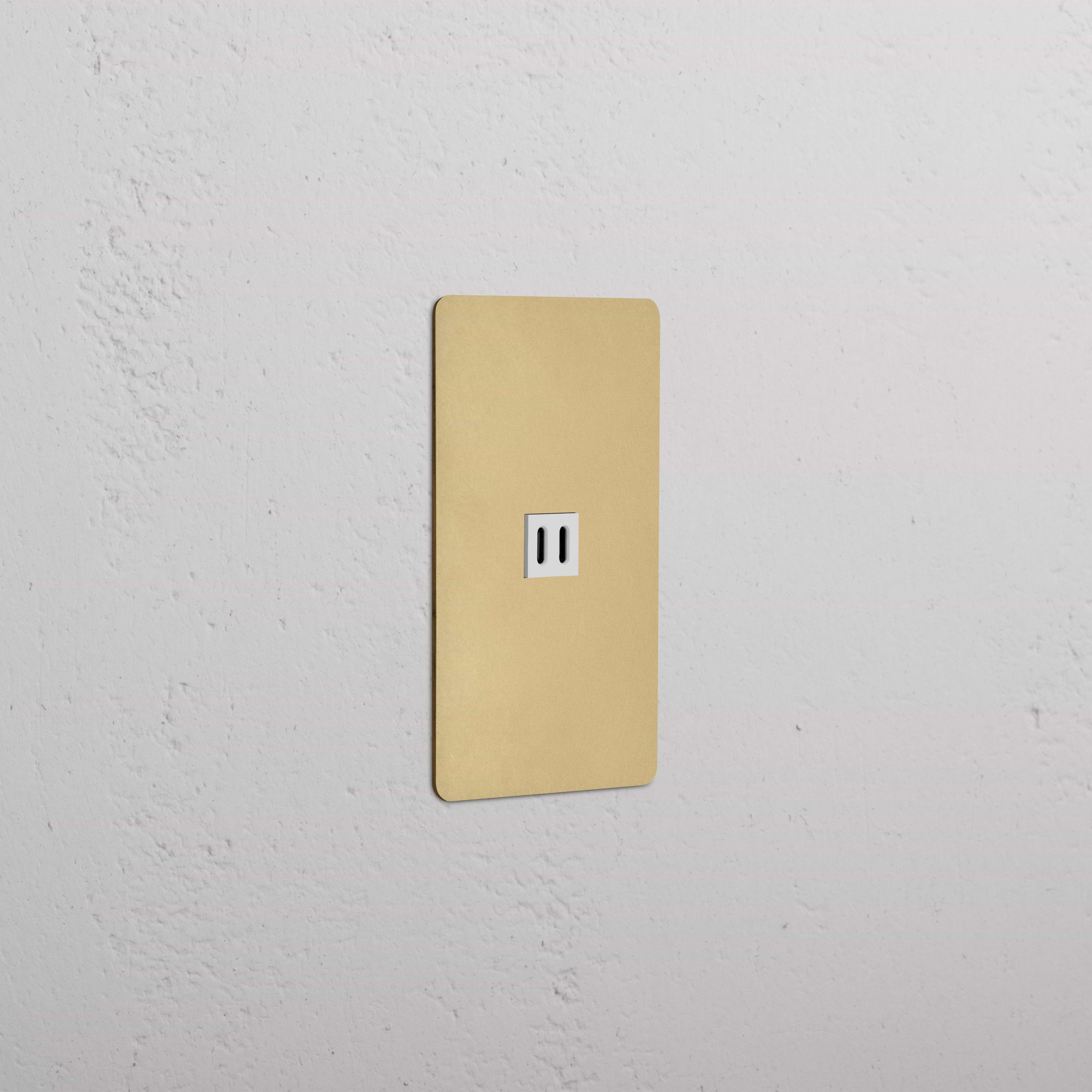 Kew 1G Fast Charge 45W USB Keystone in antique brass with white insert, single USB outlet.