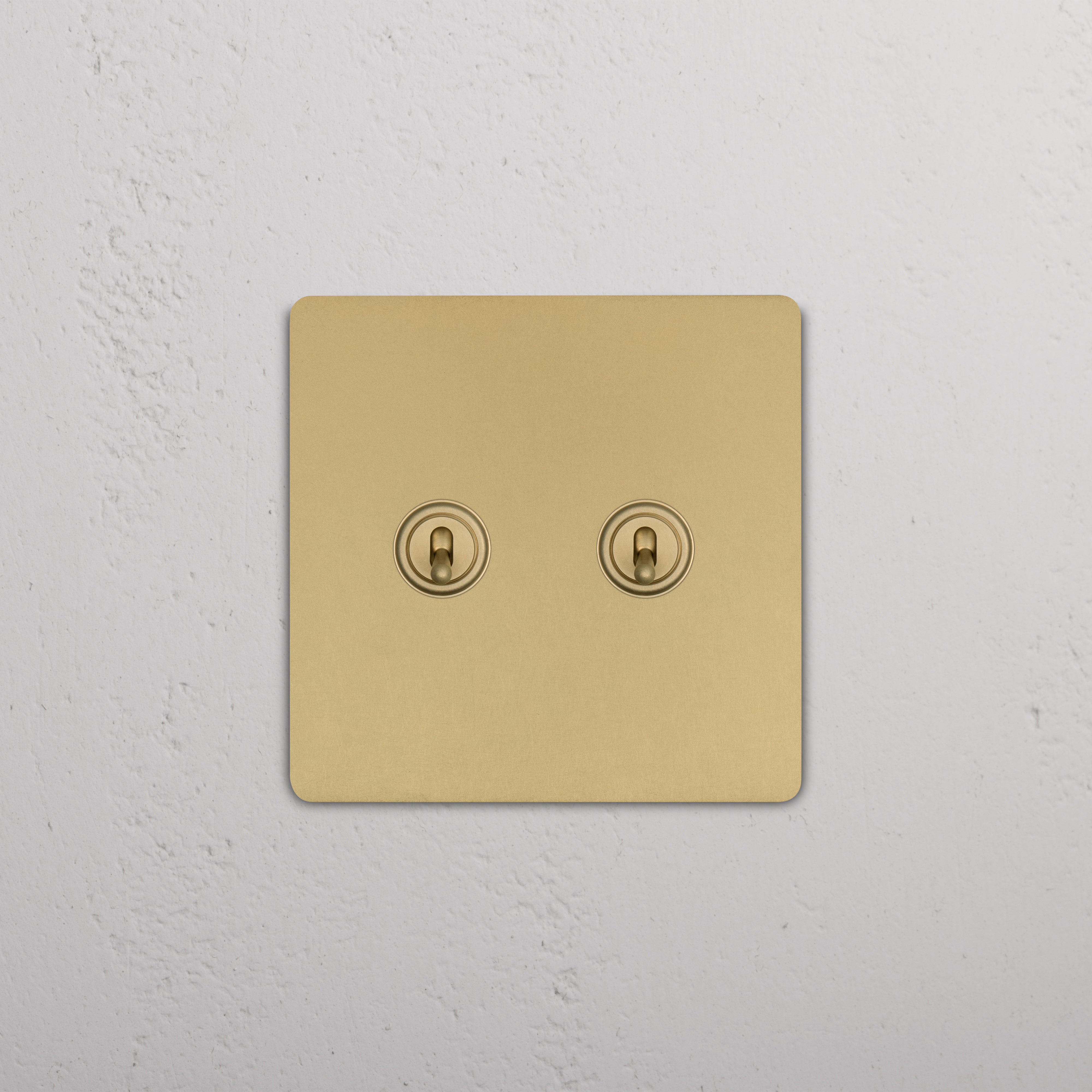 Grove 2G Toggle Switch in antique brass with two toggles, shown mounted on a white wall.