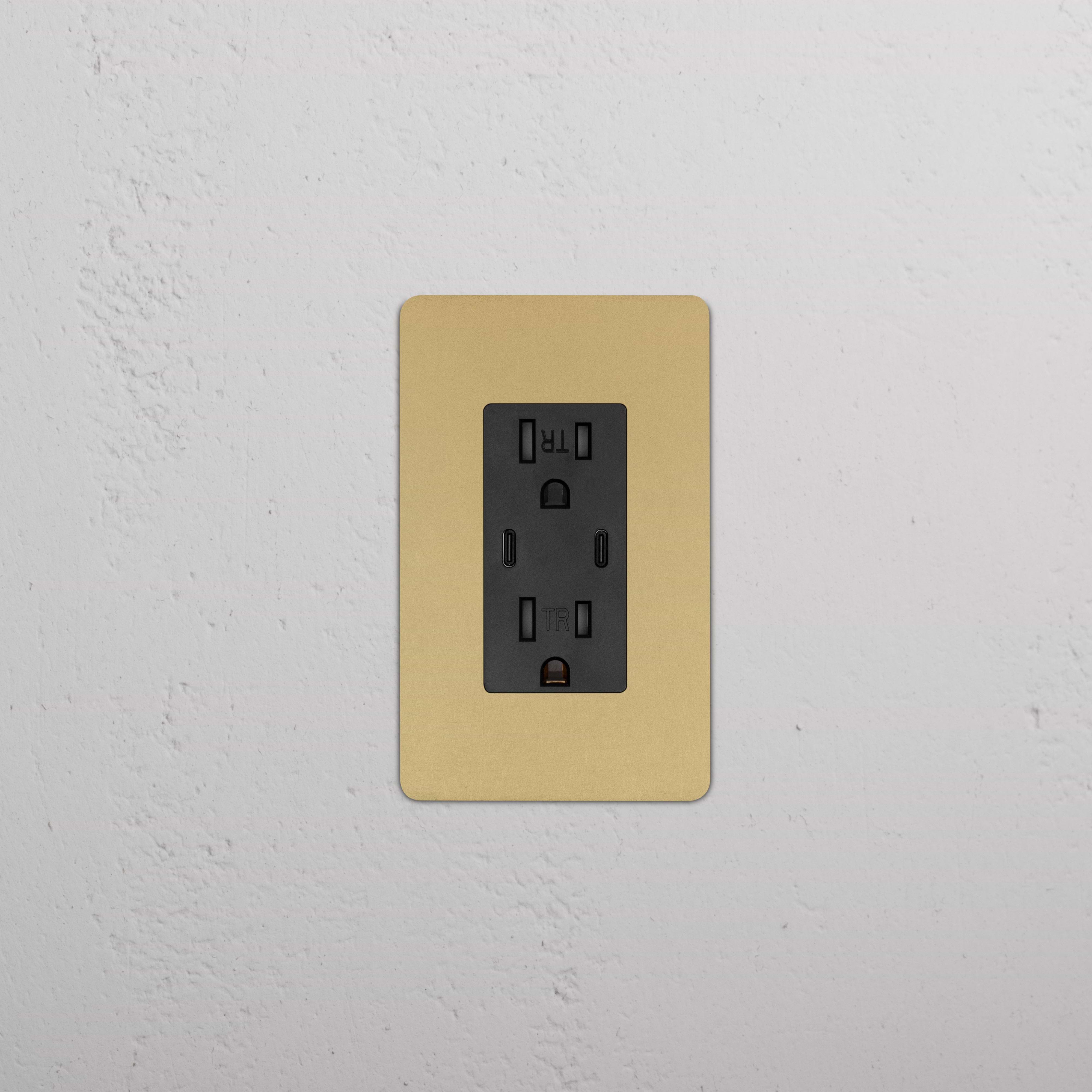 Kew 1G 15A USB Outlet in Antique Brass Black finish with gold trim, mounted on a wall.