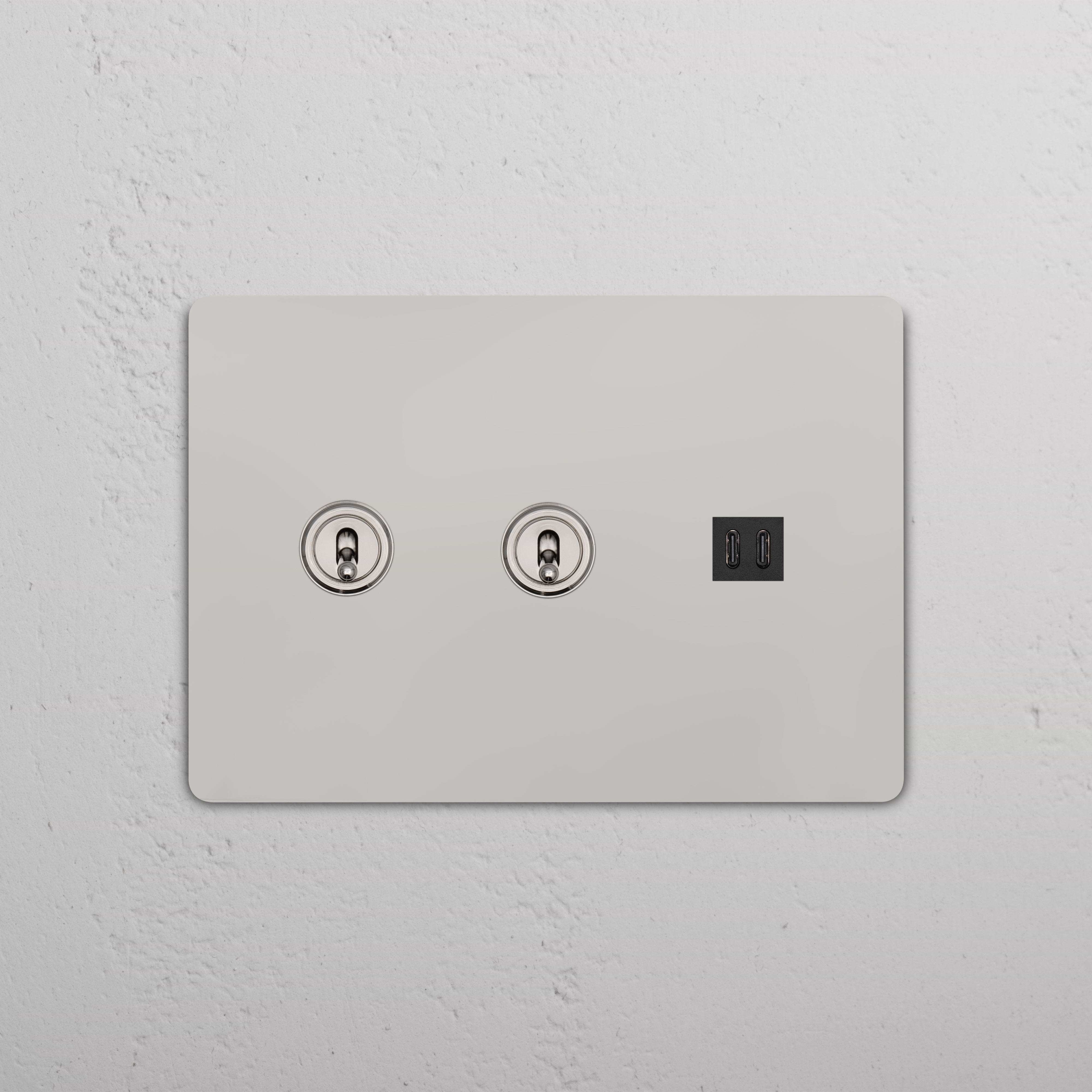 Grove 3G 2x Toggle Switch & Fast Charge USB in polished nickel black, with two toggles and dual USB ports.
