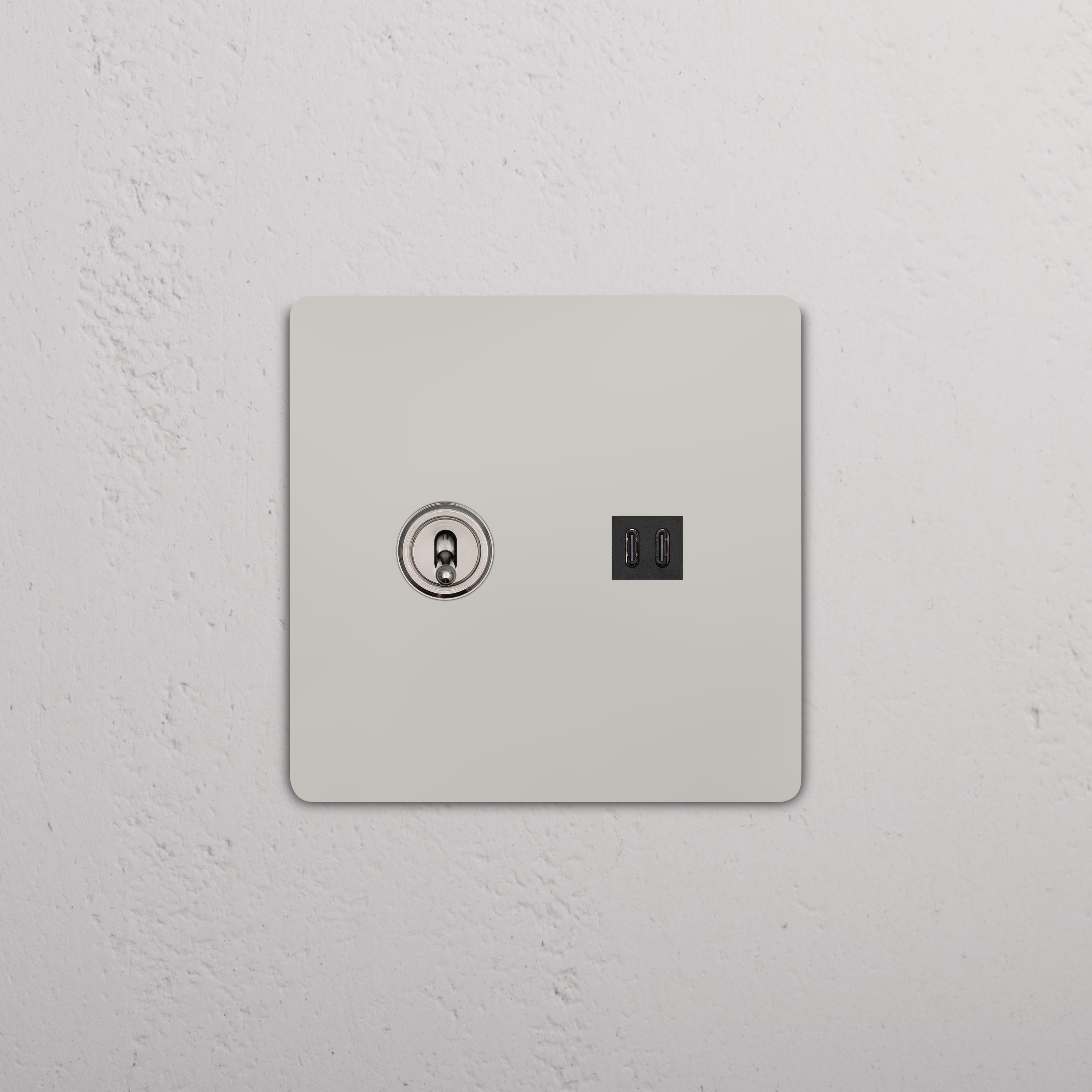 Grove 2G Toggle Switch & Fast Charge USB in Polished Nickel Black with two toggles and USB ports on a wall plate.