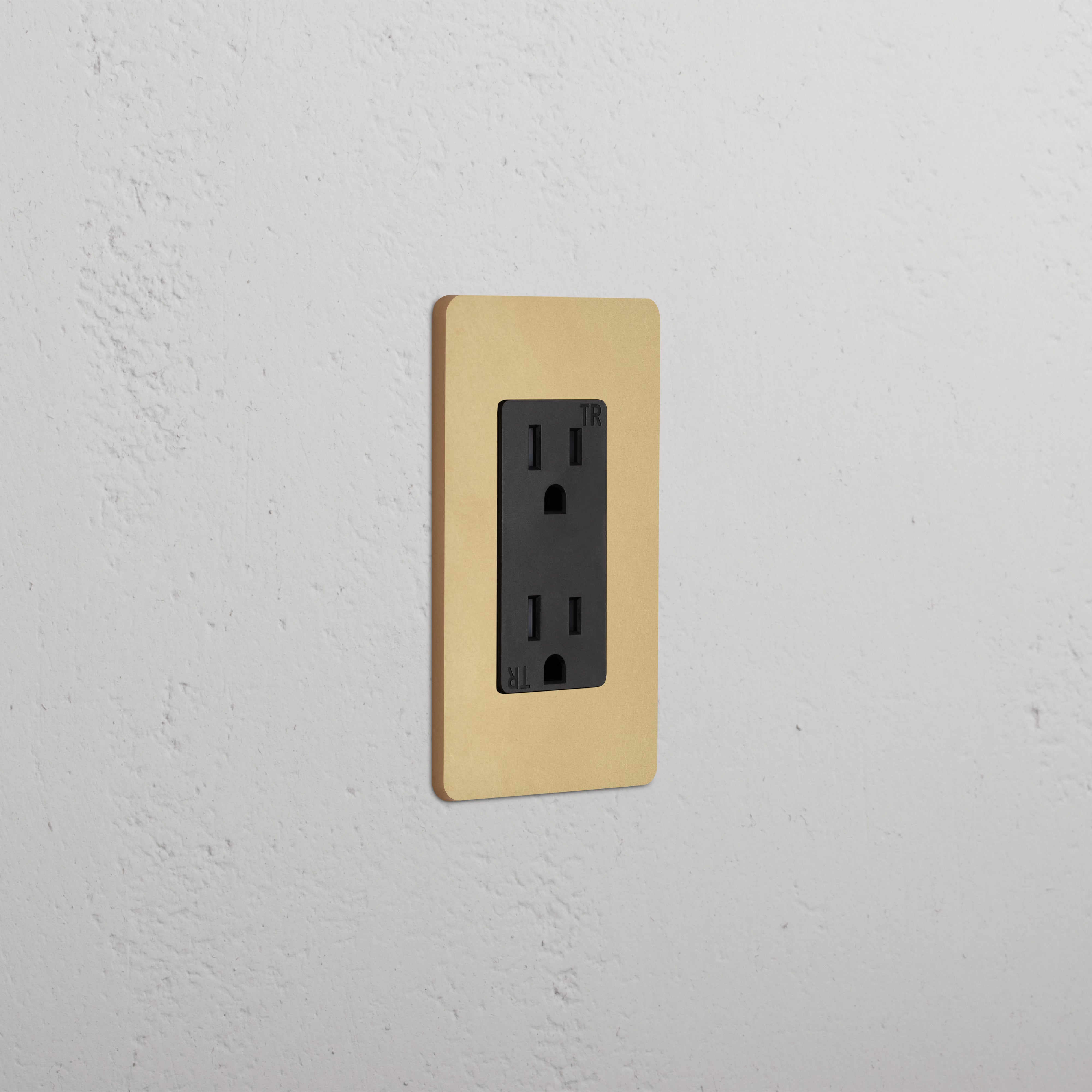 Grove 1G 15A electrical outlet with an antique brass black faceplate, shown installed on a wall.