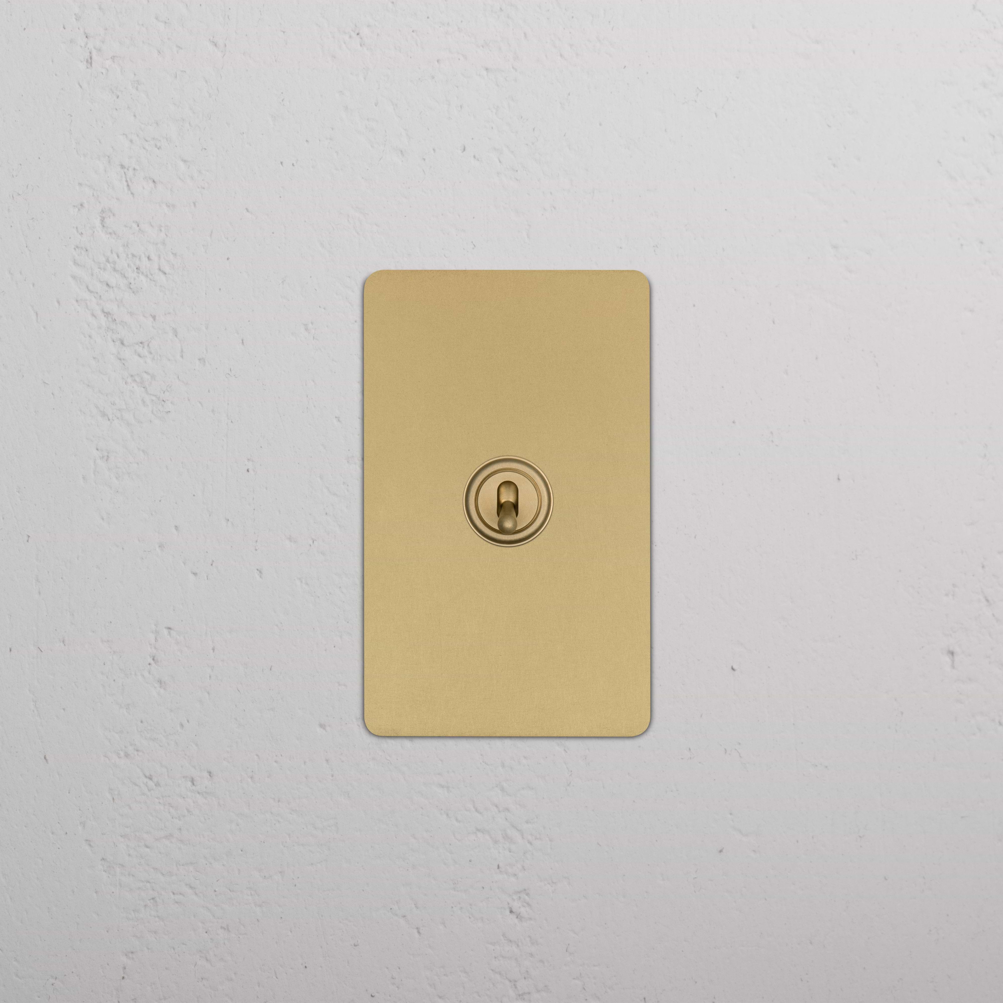 Kew 1G Double Pole Toggle Switch in antique brass with gold rectangular plate and central toggle switch.