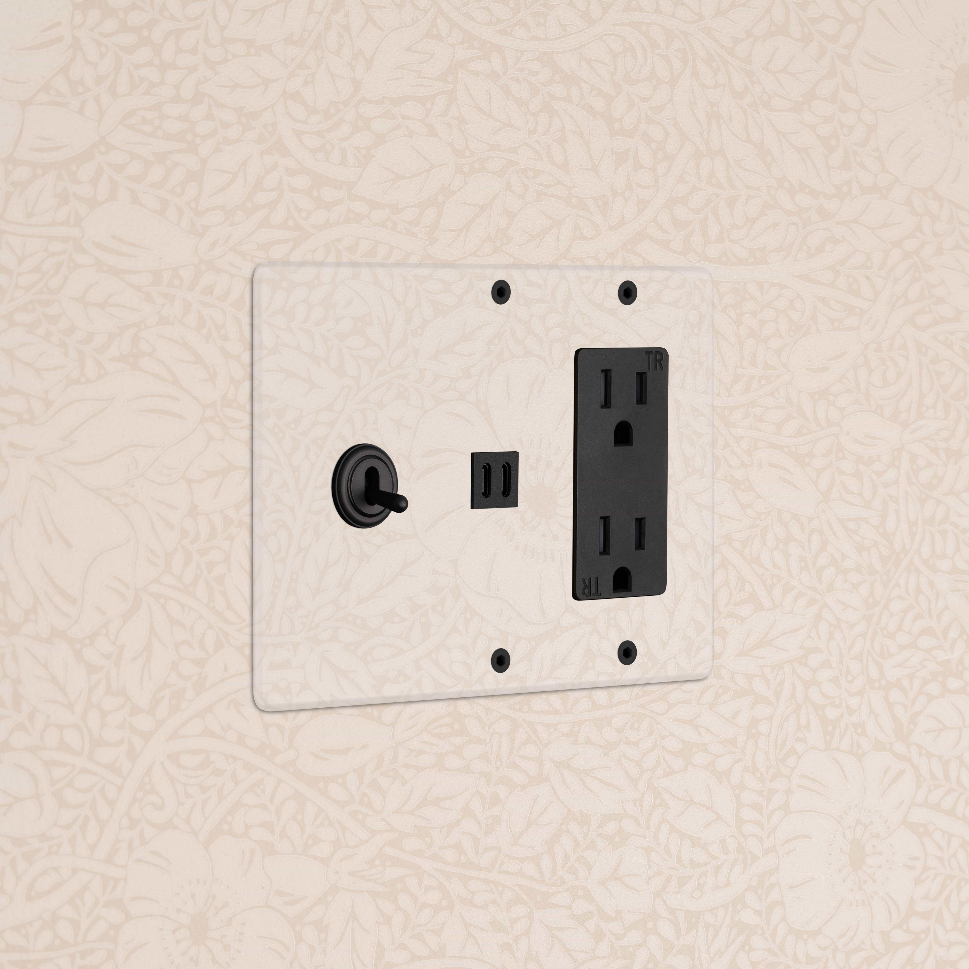 Kew 3G Toggle Switch, Outlet & Fast Charge USB in Clear Bronze Black, mounted on beige floral wallpaper.