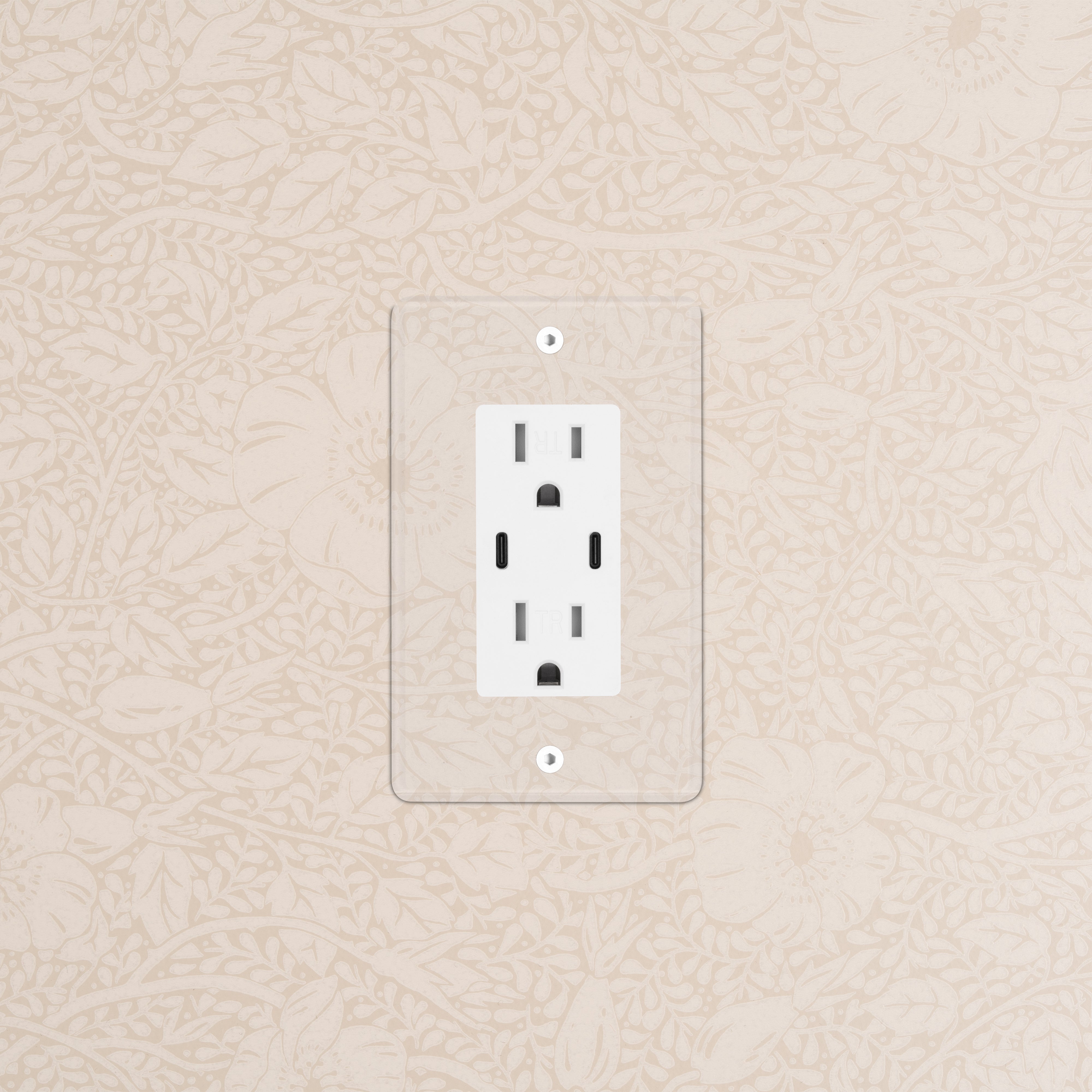 Clear White Kew 1G 15A USB Outlet with two sockets and USB ports mounted on a beige floral wall.