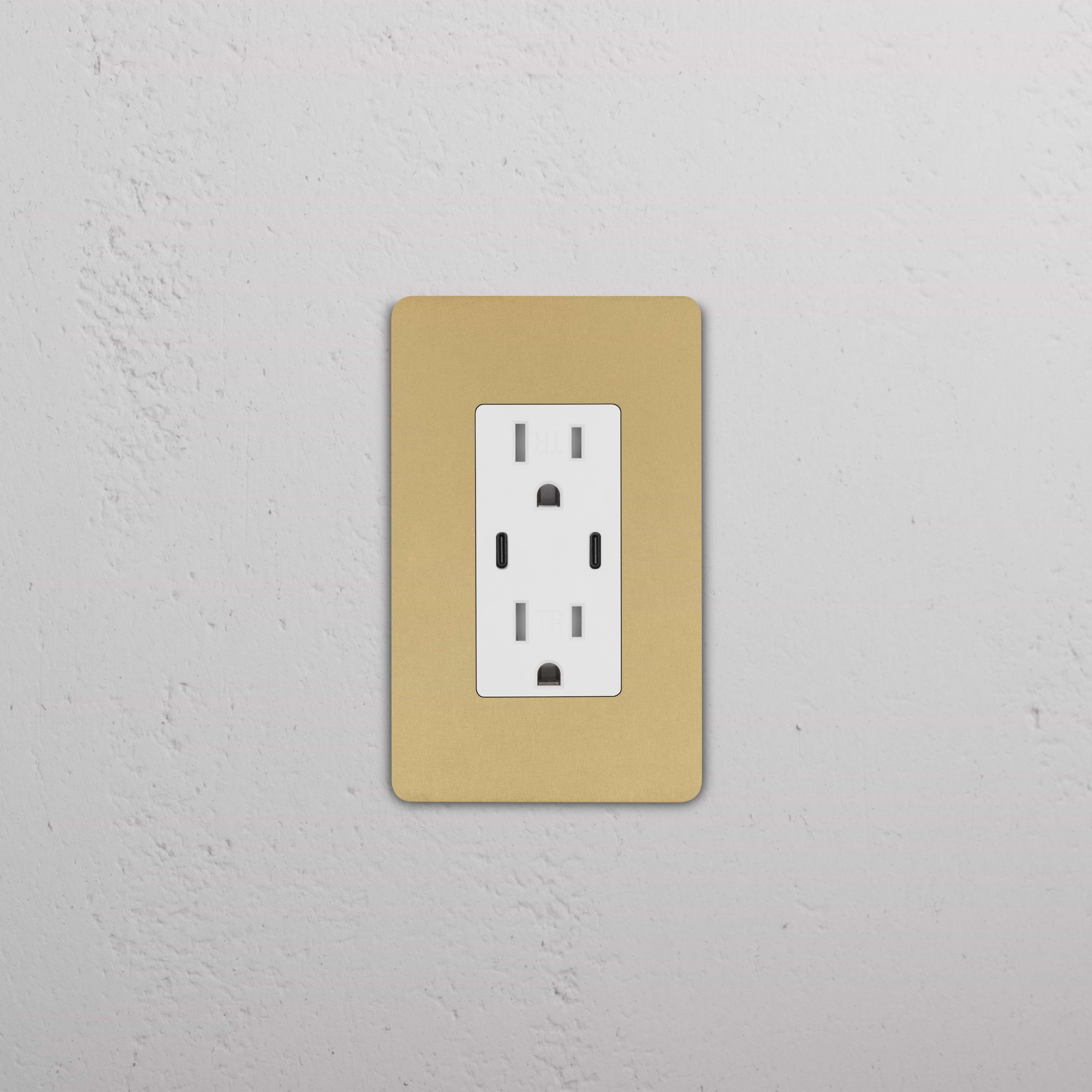 Grove 1G 15A USB Outlet in Antique Brass White finish, featuring two sockets and integrated USB ports.