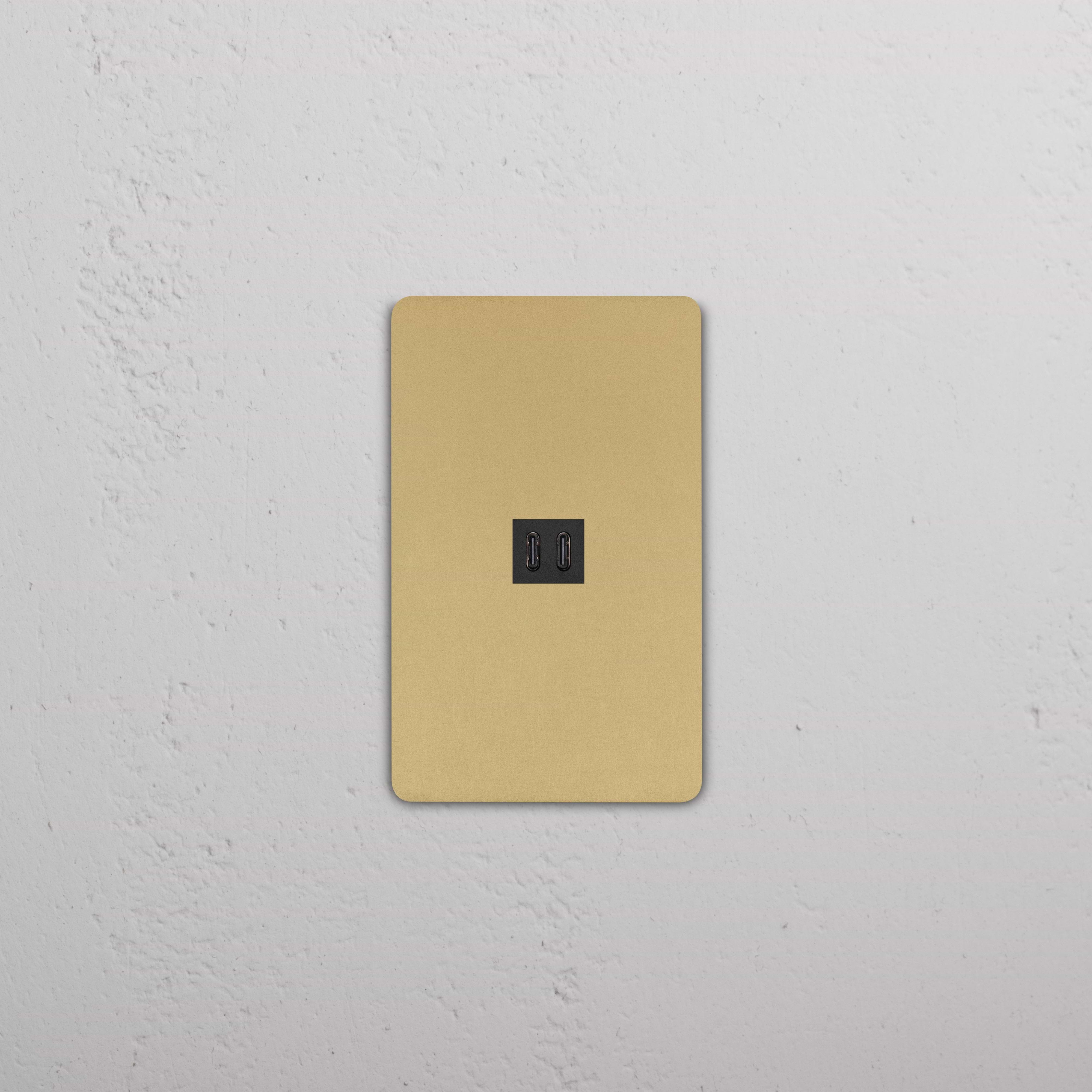 Grove 1G Fast Charge 45W USB Keystone in Antique Brass Black finish, shown mounted on a wall.