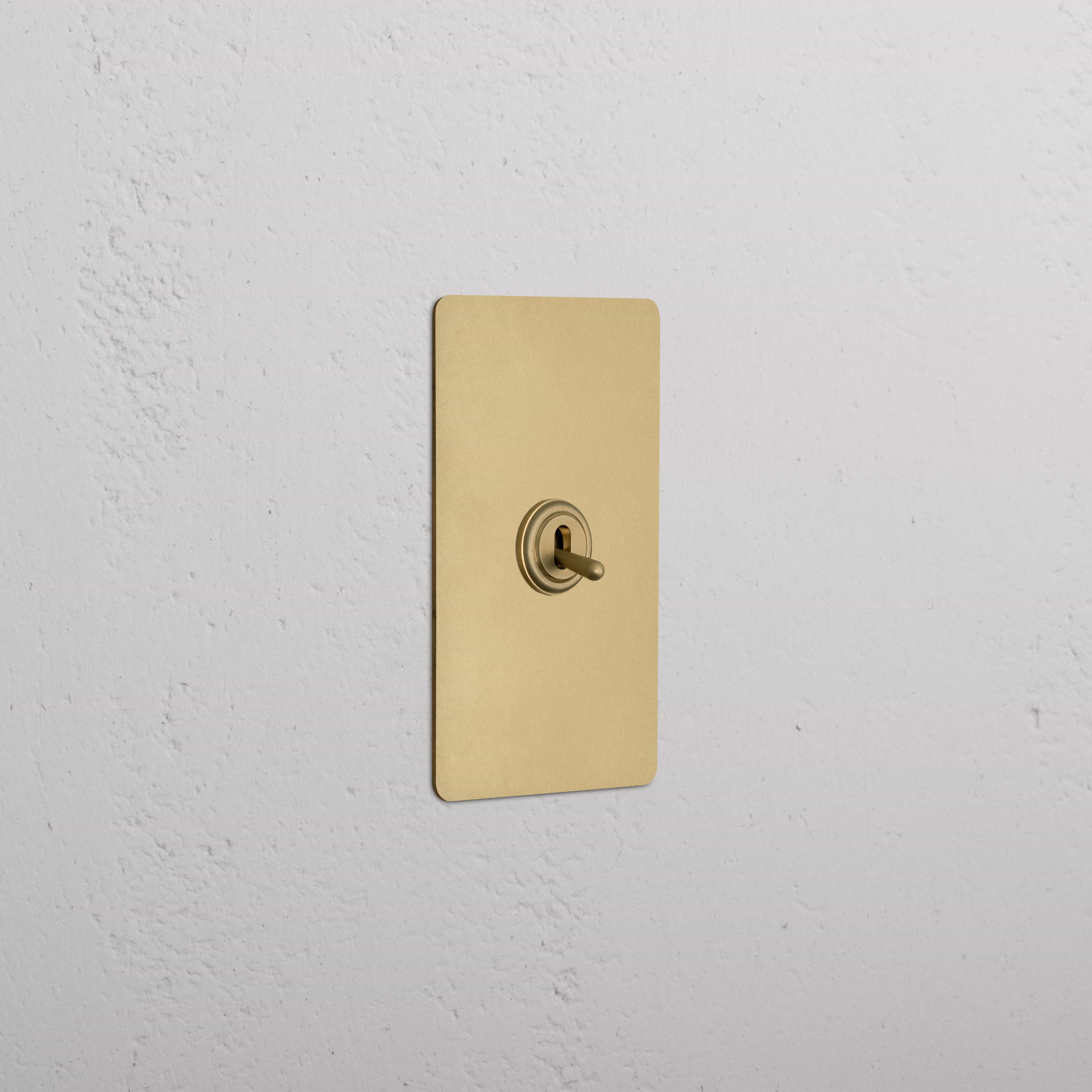 Kew 1G Toggle Switch in Antique Brass with rectangular plate, mounted on a white textured wall.
