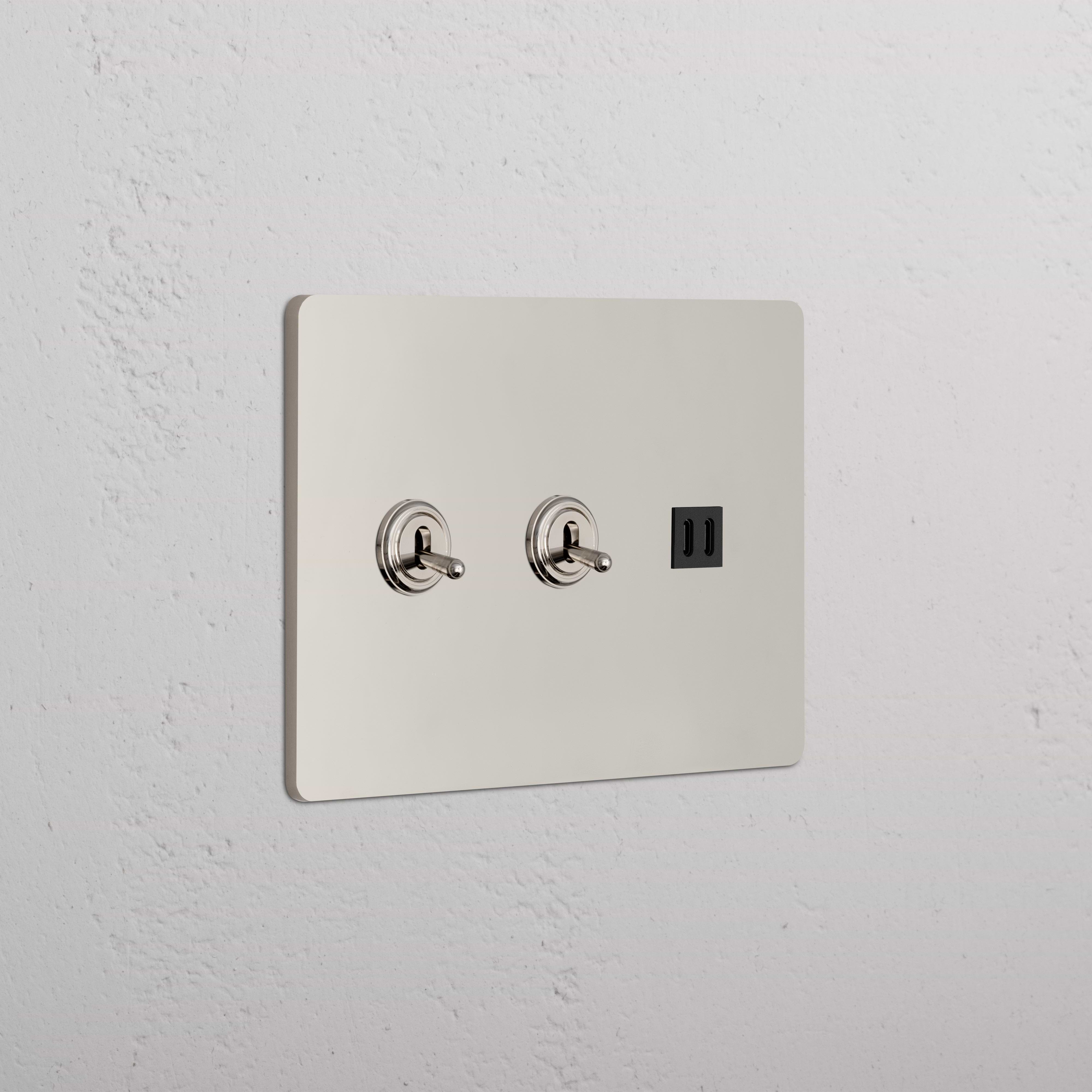 Grove 3G 2x Toggle Switch & Fast Charge USB in Polished Nickel Black, with two toggles and USB port.