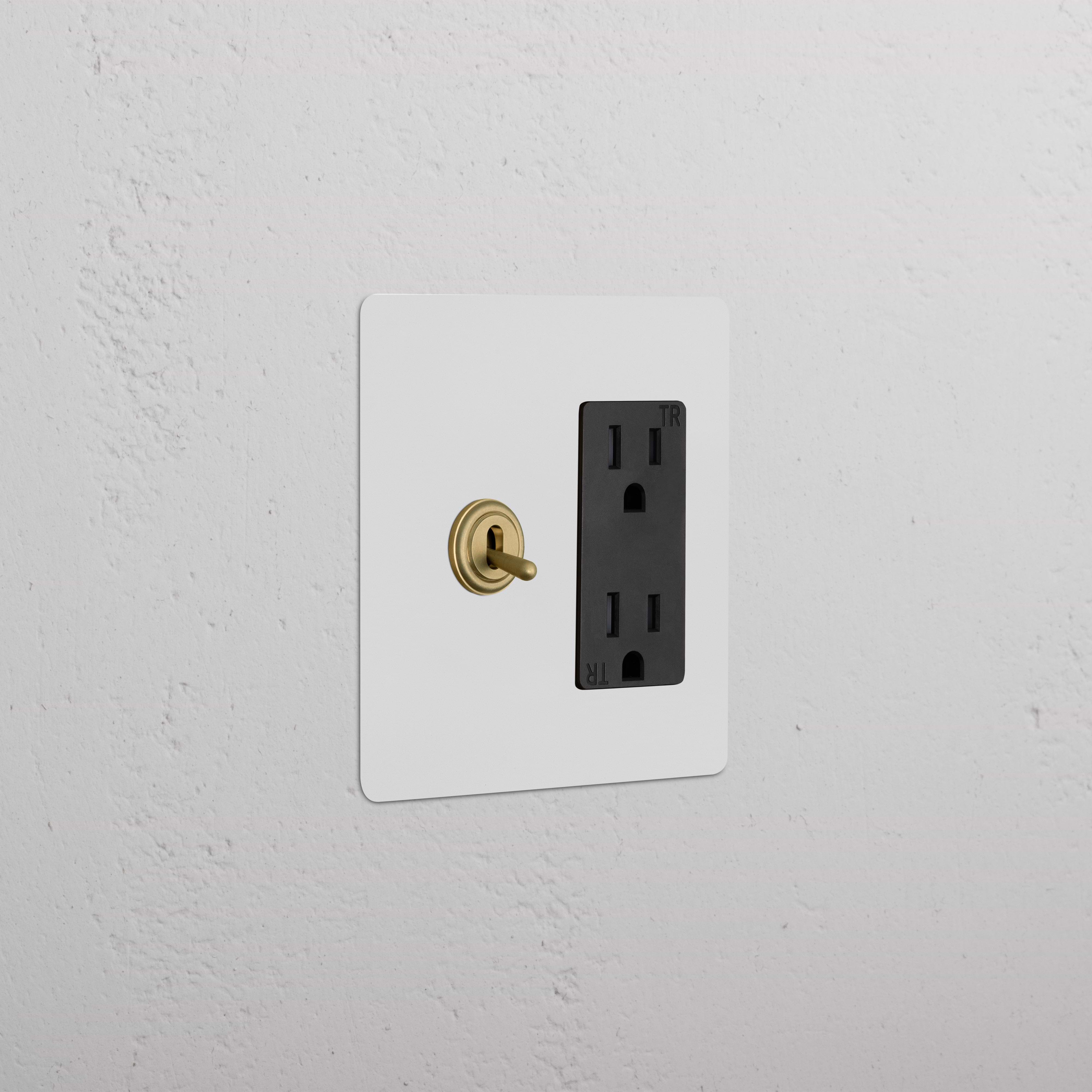 Kew 2G Toggle Switch & Outlet with paintable antique brass black finish, gold toggle, and black double socket.