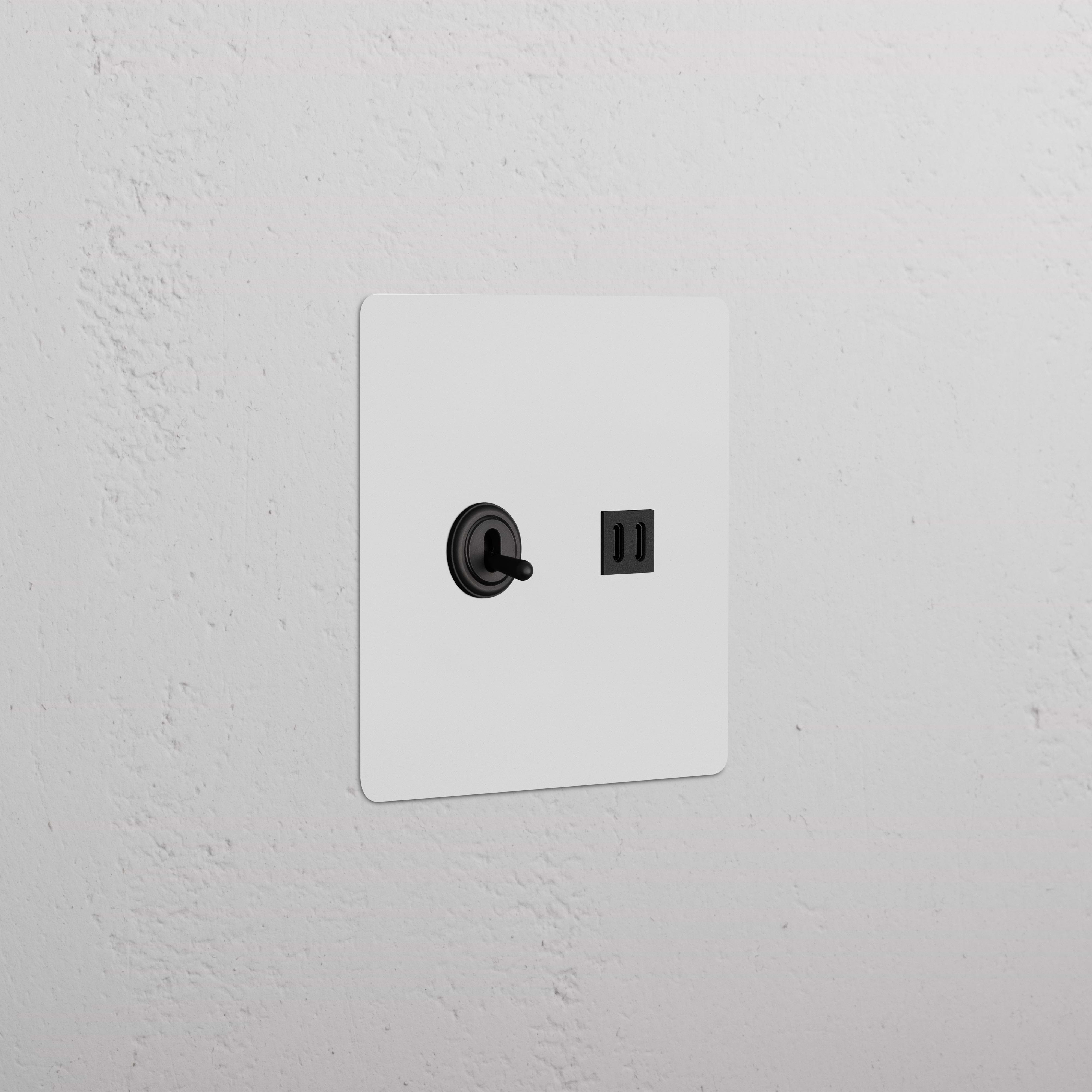 Kew 2G Toggle Switch & Fast Charge USB in paintable bronze black finish, wall-mounted.