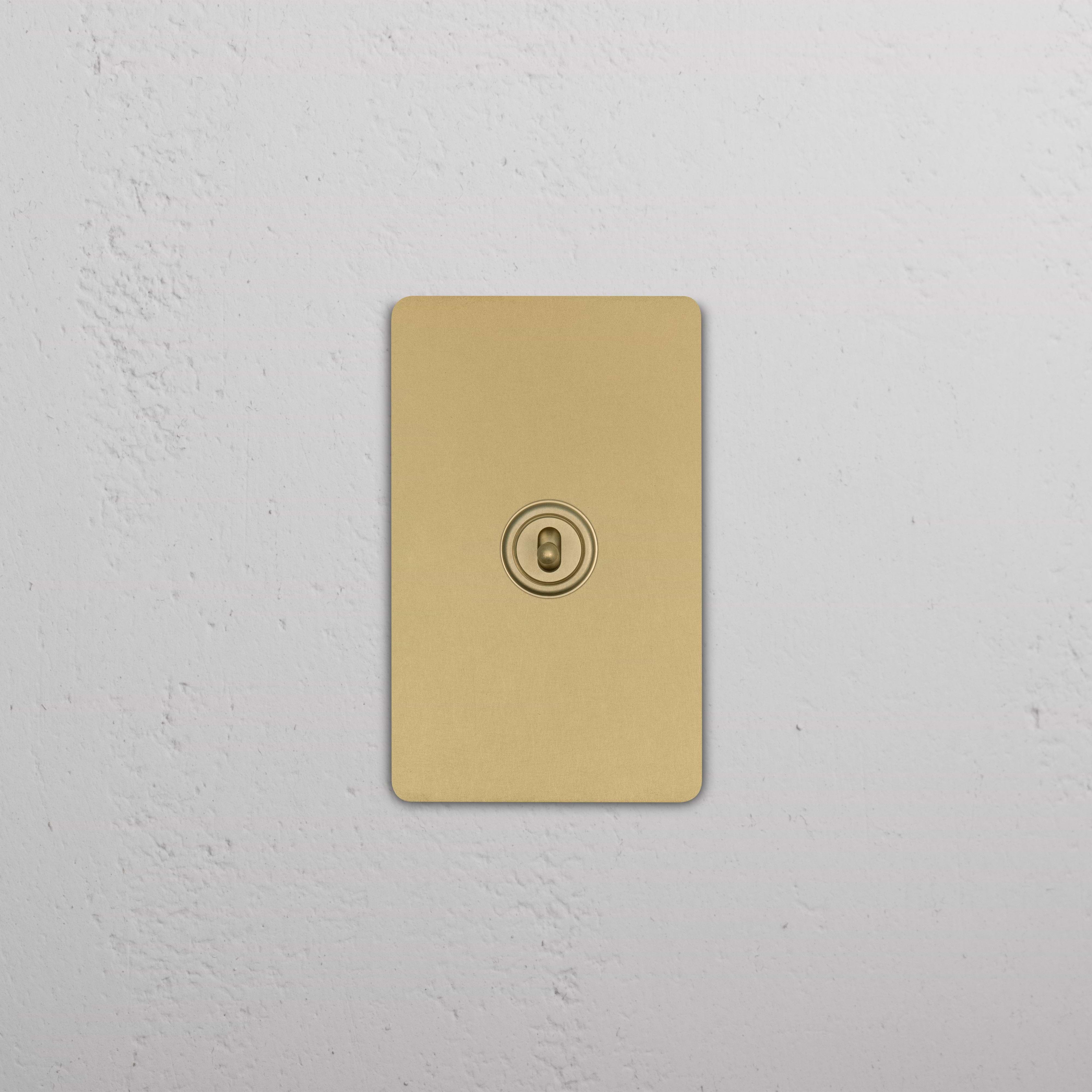 Grove 1G Center Retractive Toggle Switch in Antique Brass with a rectangular plate and central toggle switch.