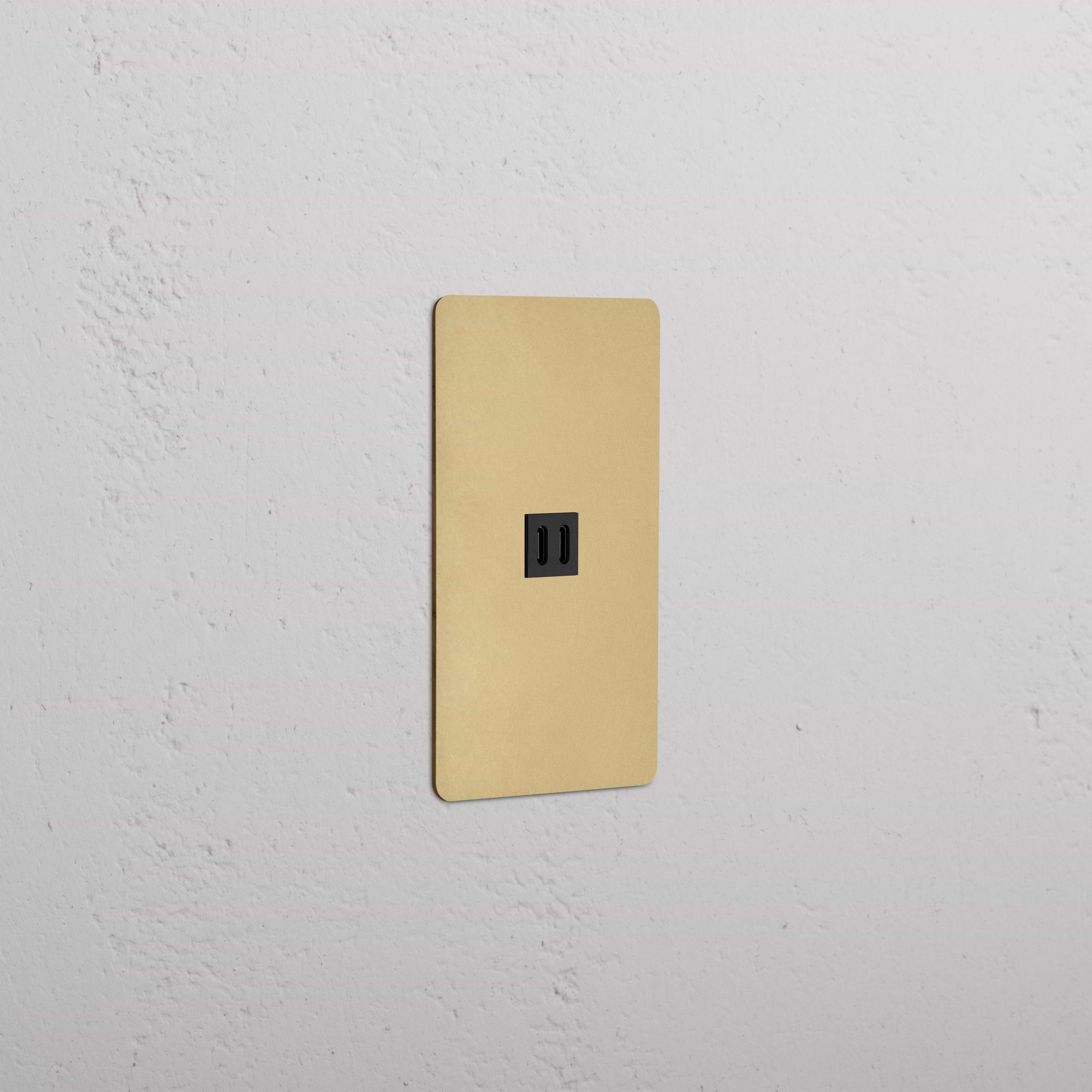 Kew 1G Fast Charge 65W USB Keystone in Antique Brass Black, a single USB wall outlet on white wall.