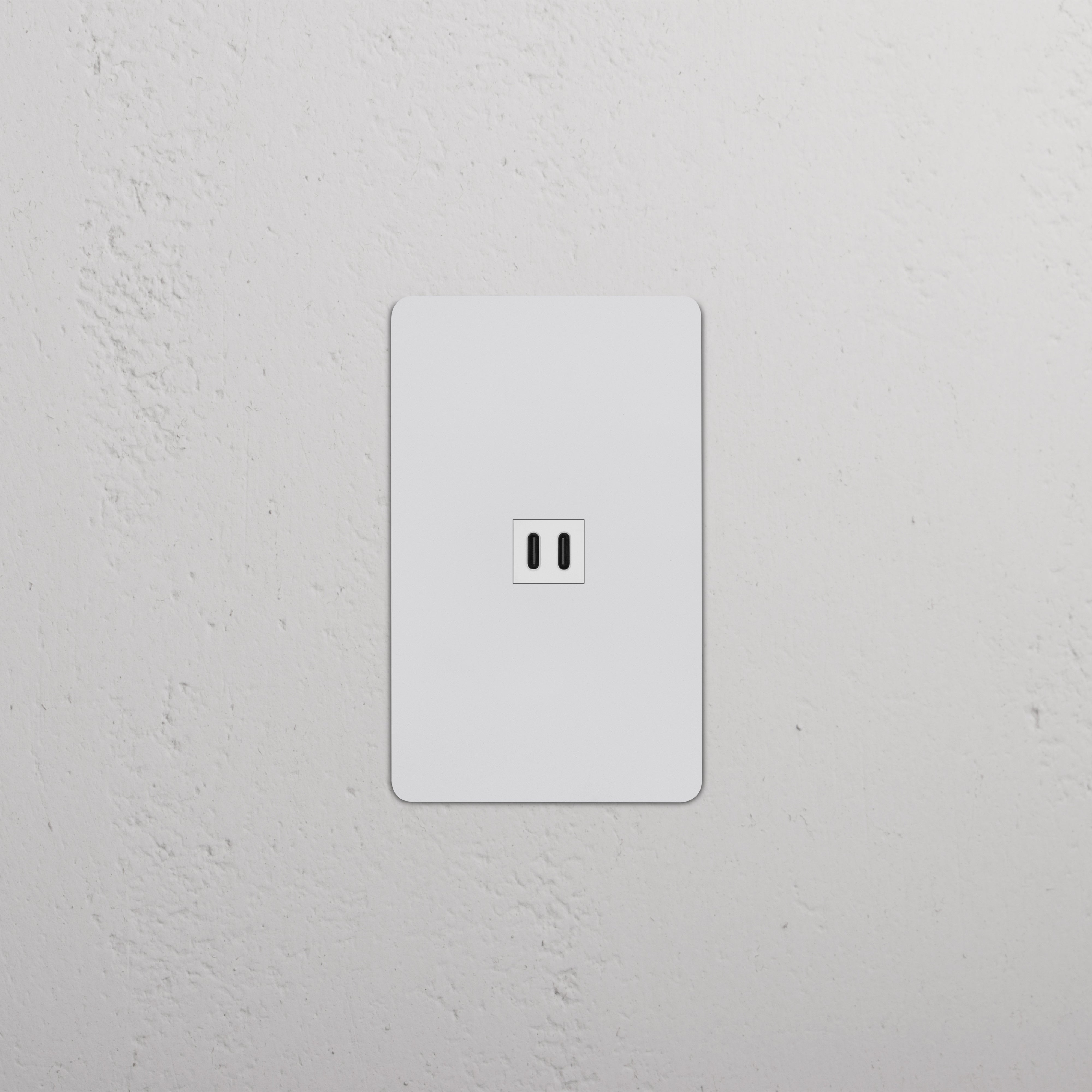 Kew 1G Fast Charge 65W USB Keystone in paintable white, single USB wall insert for fast charging devices.