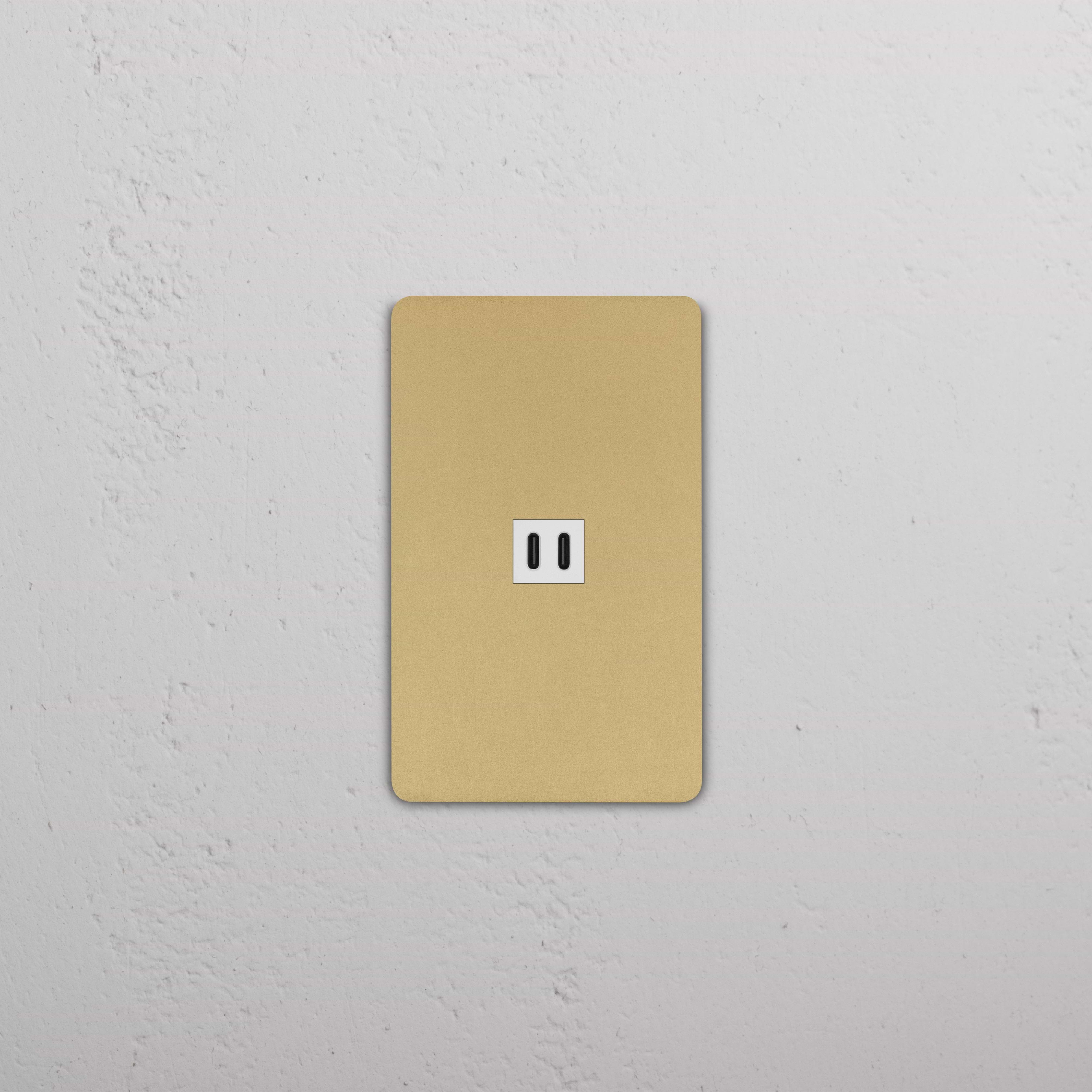 Grove 1G Fast Charge 45W USB Keystone in Antique Brass White finish, single USB wall plate.