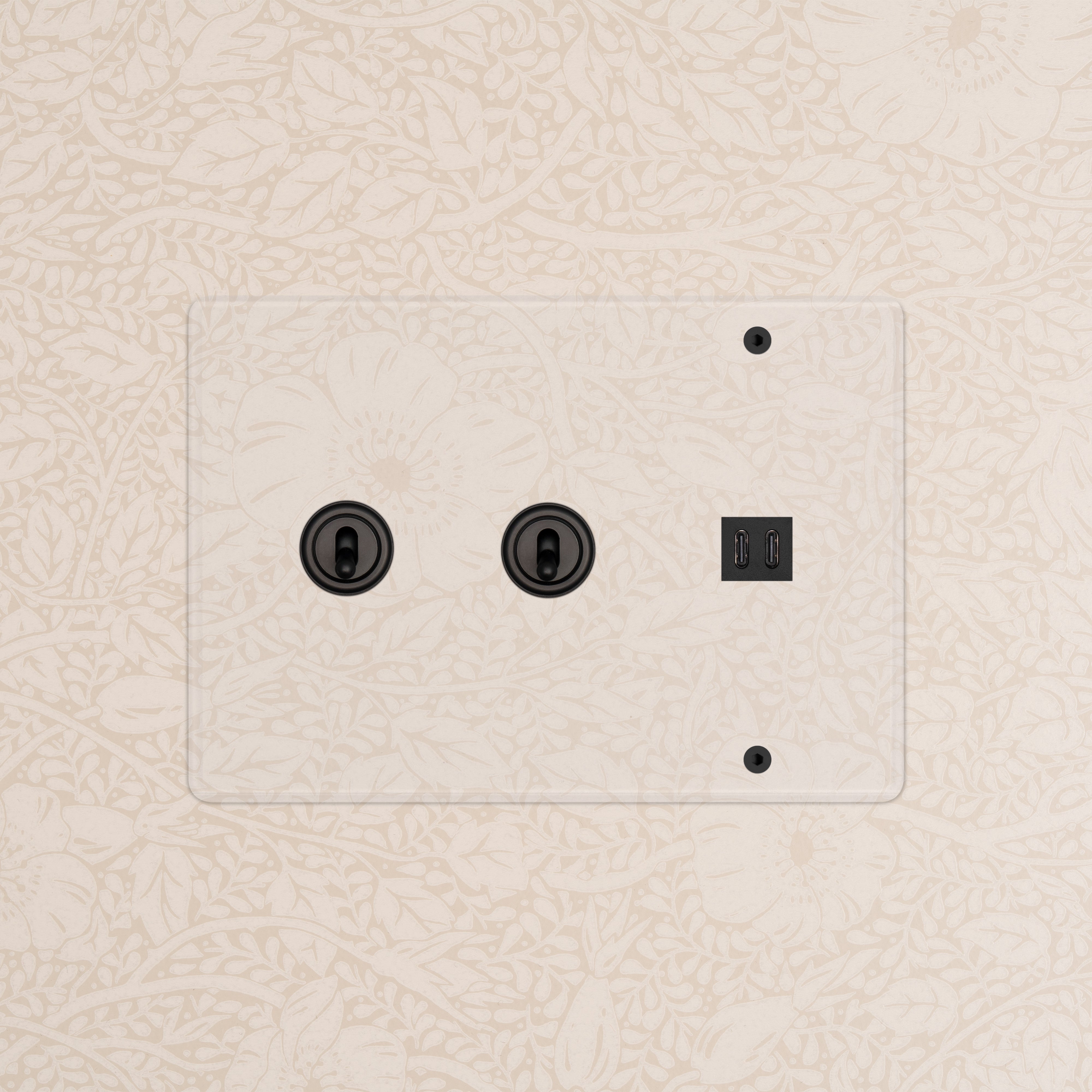 Kew 3G 2x Toggle Switch & Fast Charge USB in Clear Bronze Black with two toggles and dual USB ports on a wall.