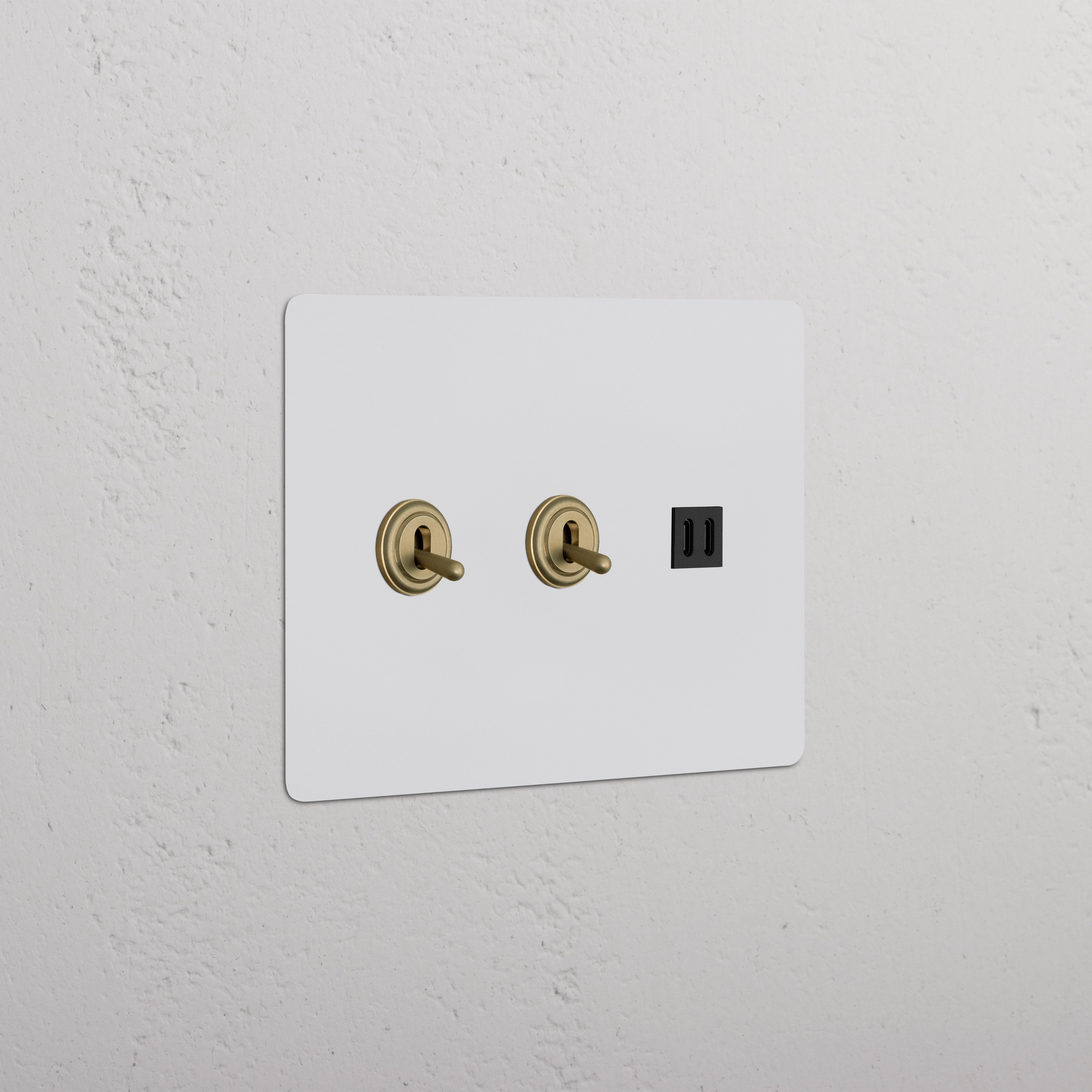 Kew 3G 2x Toggle Switch & Fast Charge USB in paintable antique brass black finish, wall-mounted plate.