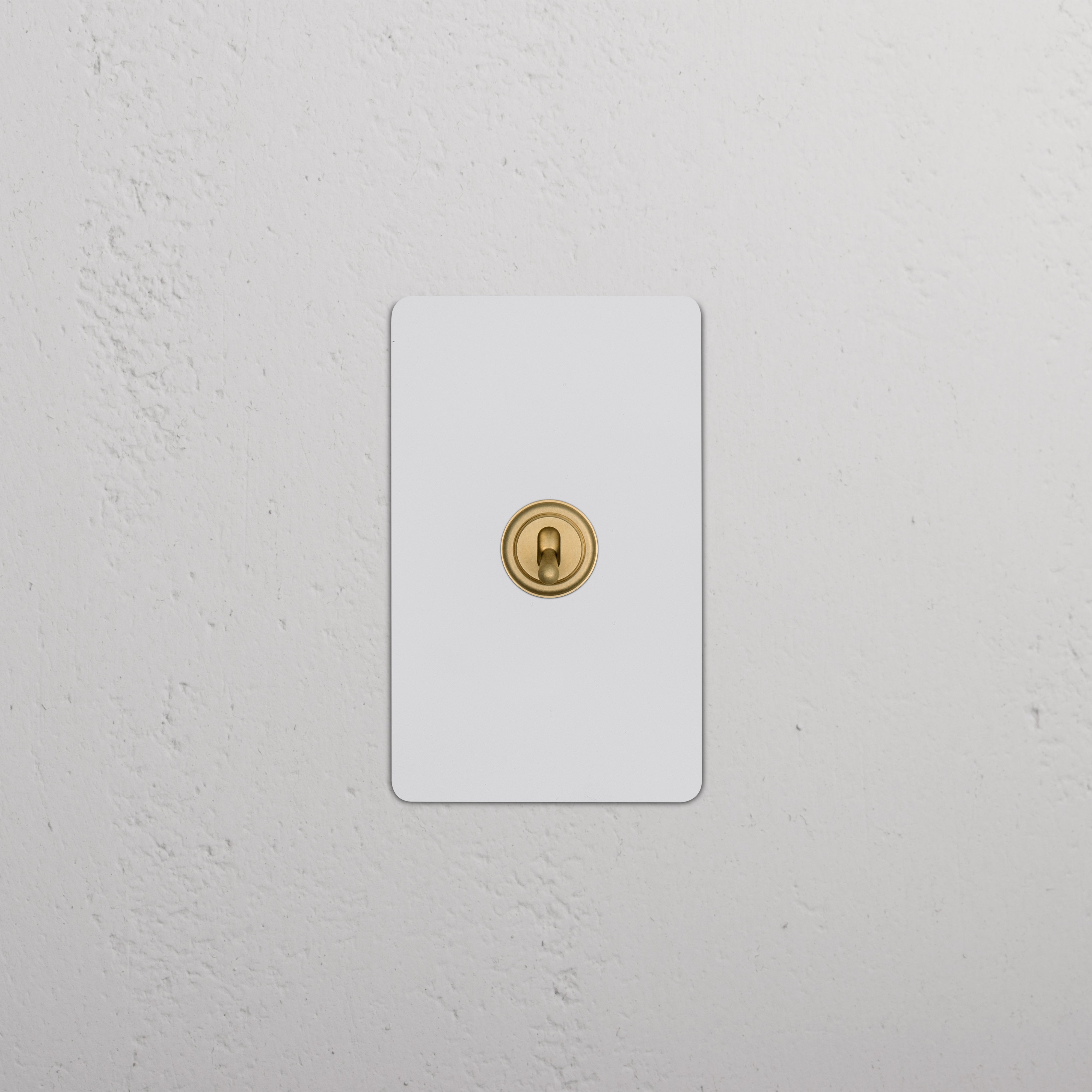 Kew 1G Toggle Switch in Paintable Antique Brass, shown mounted on a white wall.