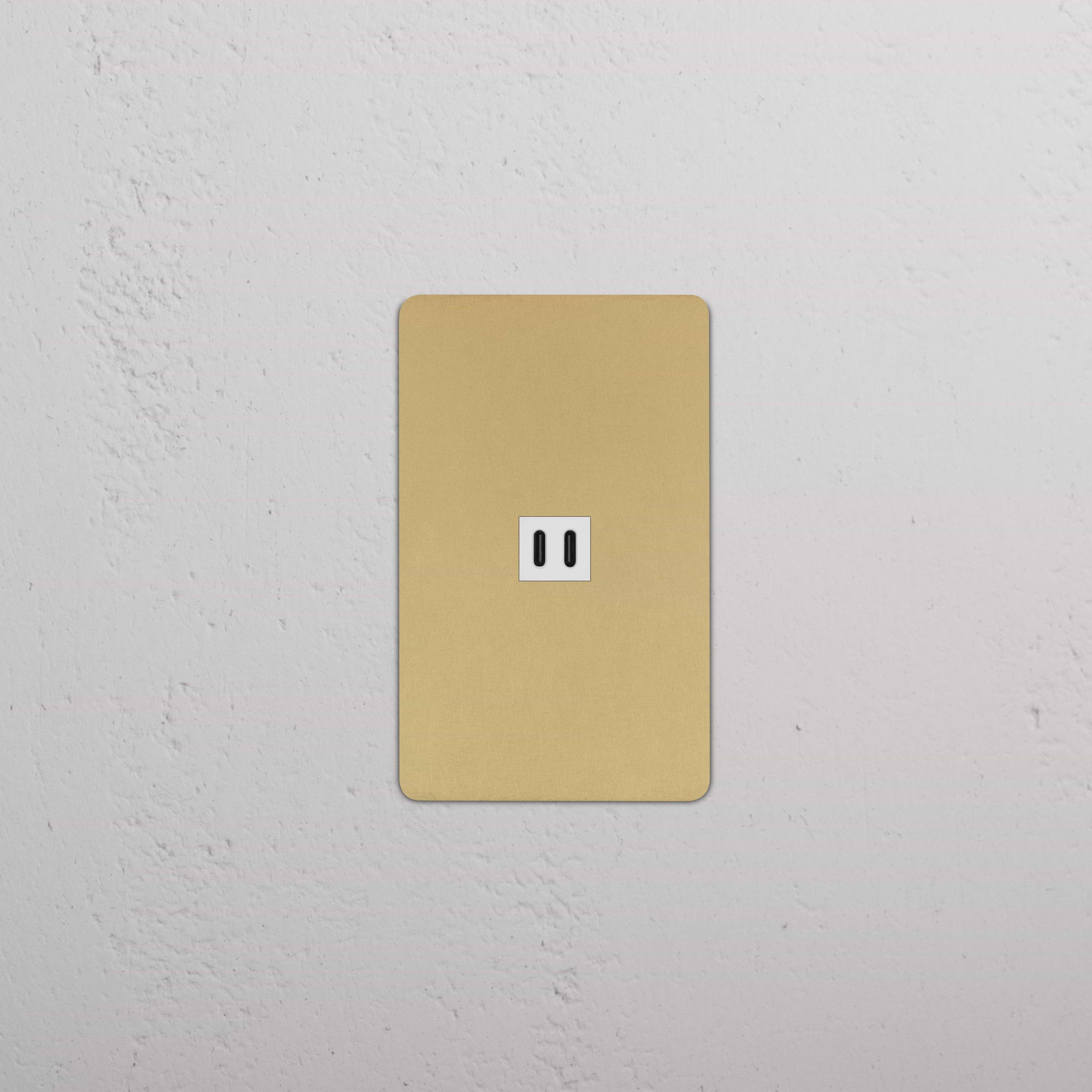 Kew 1G Fast Charge 65W USB Keystone in Antique Brass White, single USB wall plate.