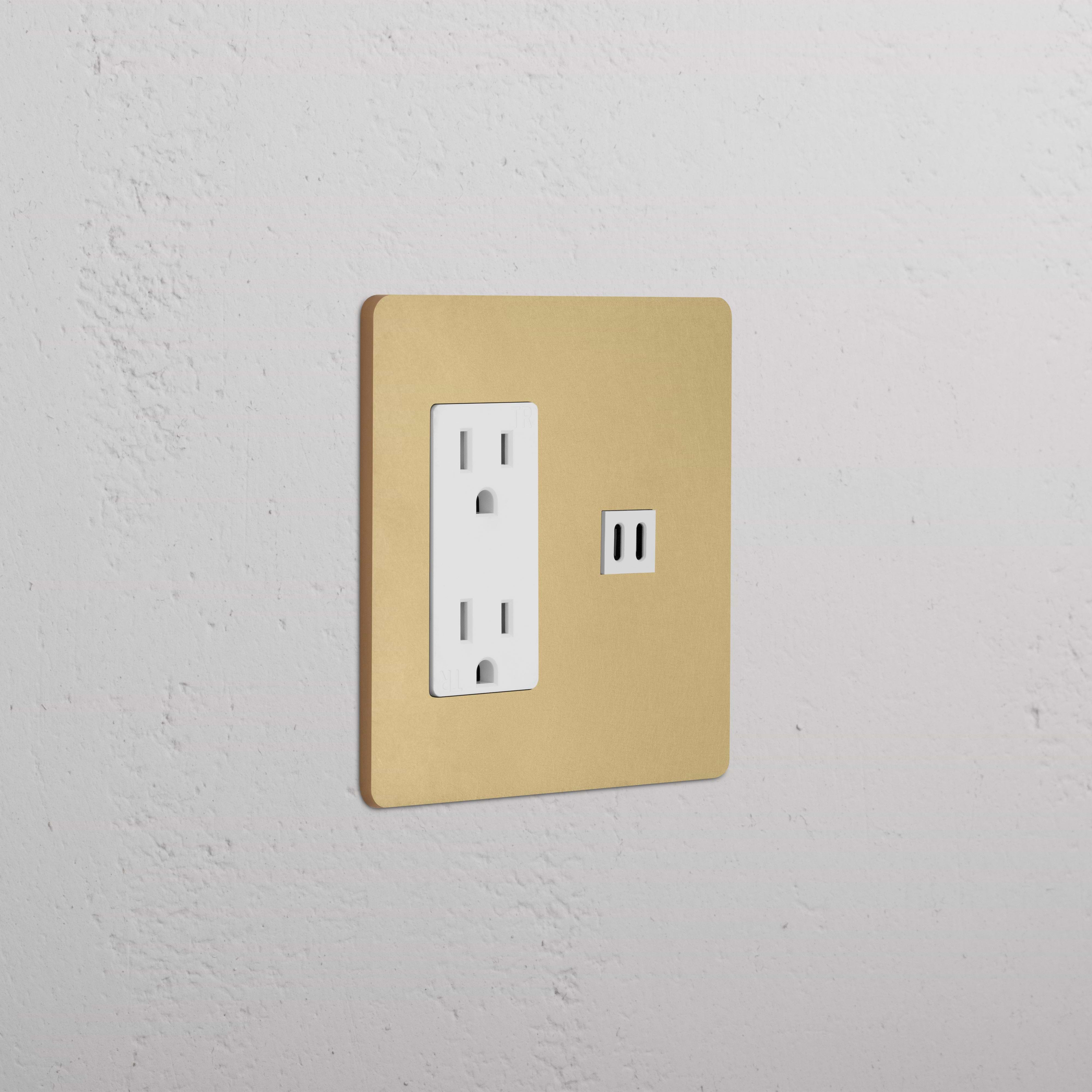 Grove 2G Outlet & Fast Charge USB in Antique Brass White finish, double socket with USB ports on wall plate.